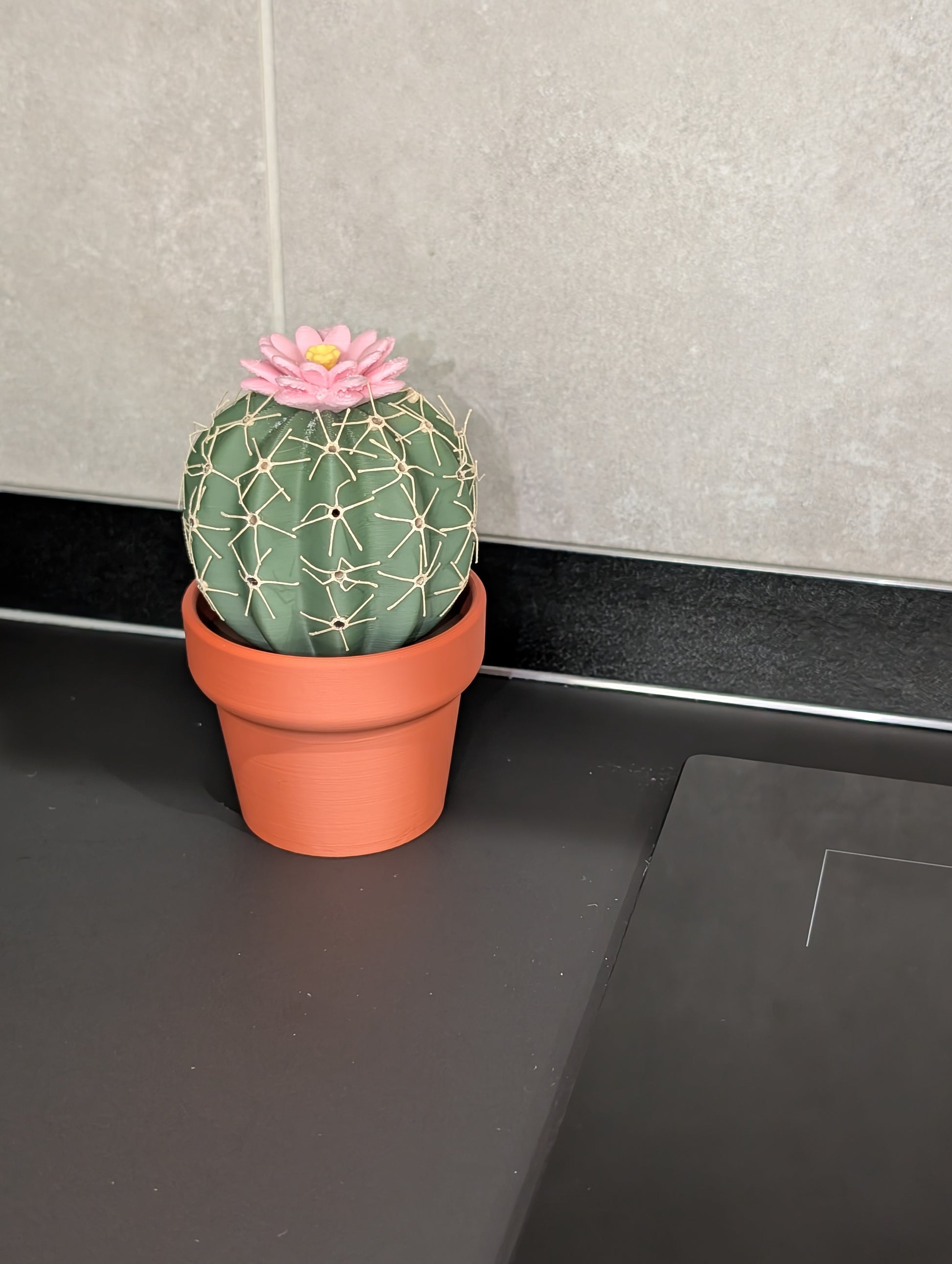 Cactus sale e pepe