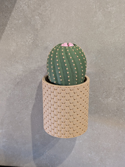 Magnetischer Schlüsselhalter für die Wand mit Kaktusblüte