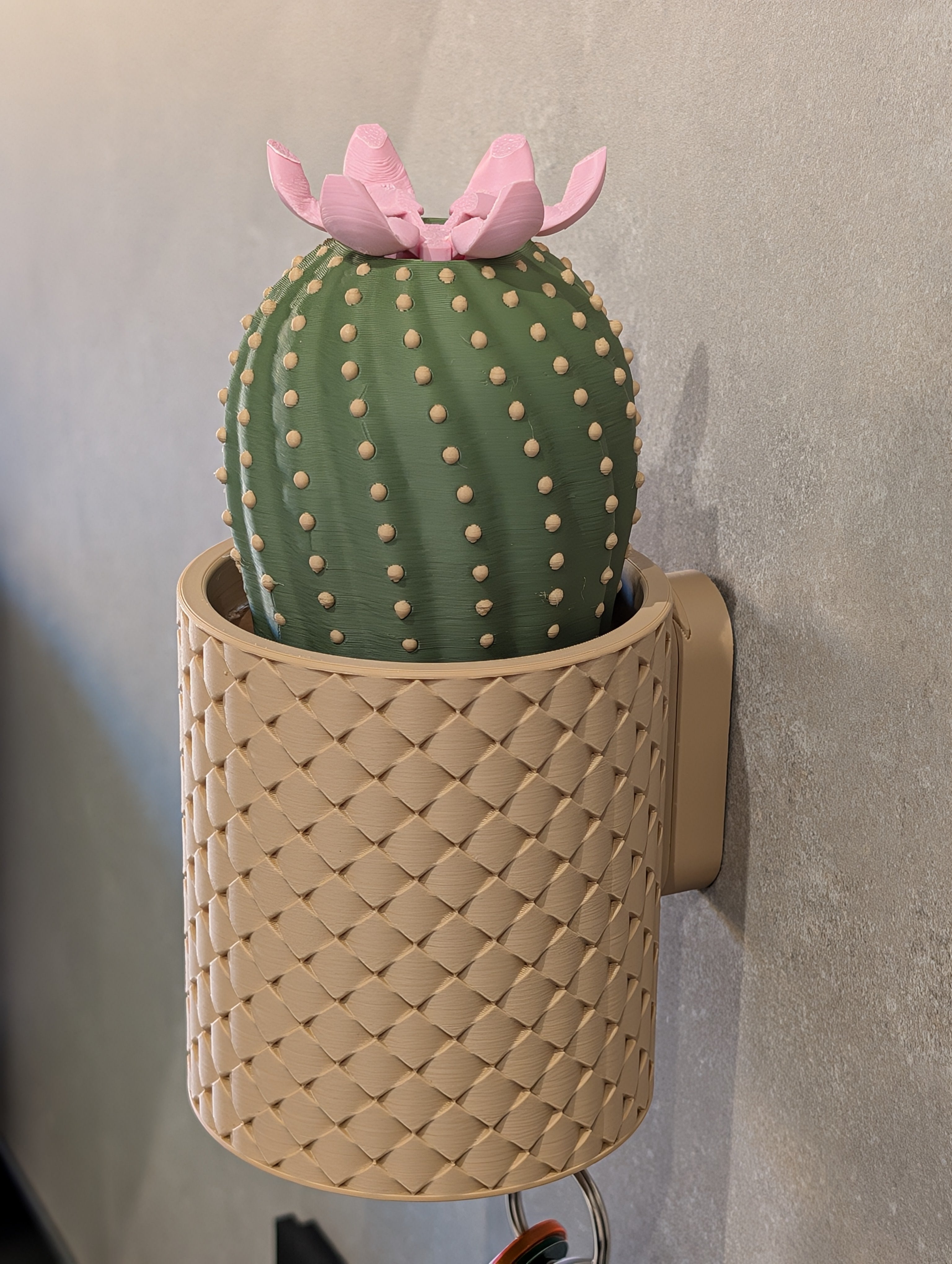 Cacty Flower, portachiavi magnetico da parete