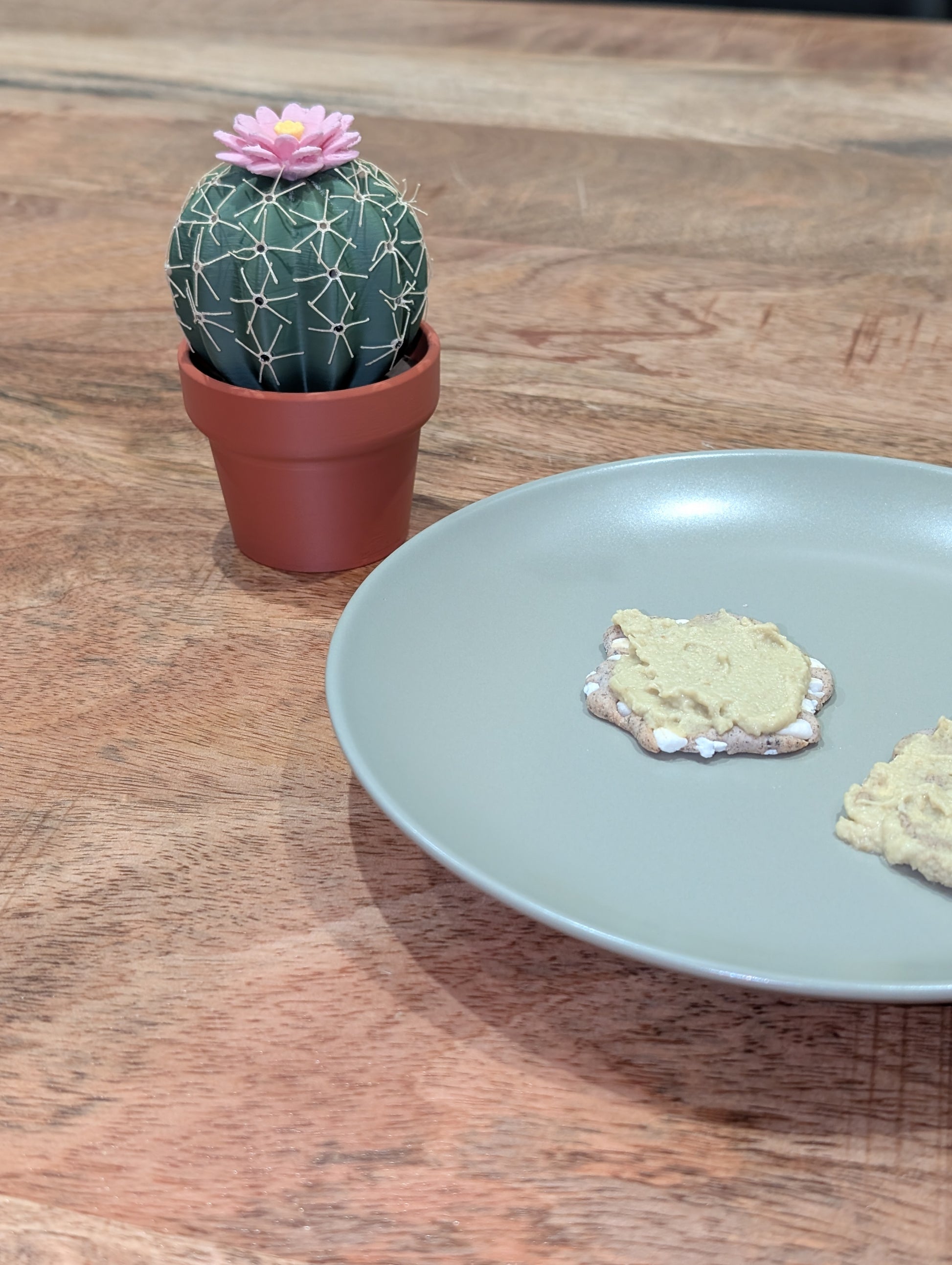 Cactus sale e pepe
