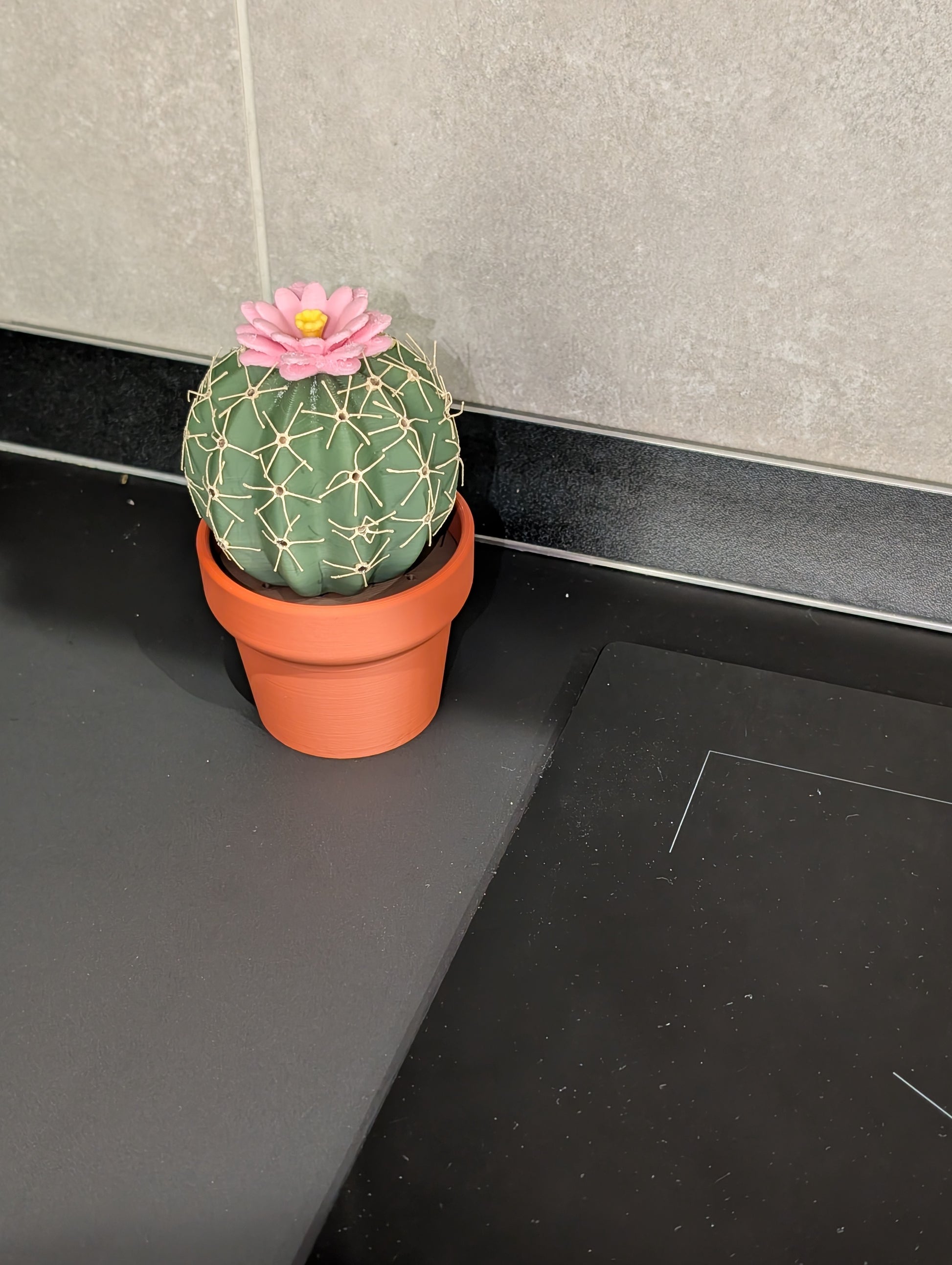 Cactus sale e pepe