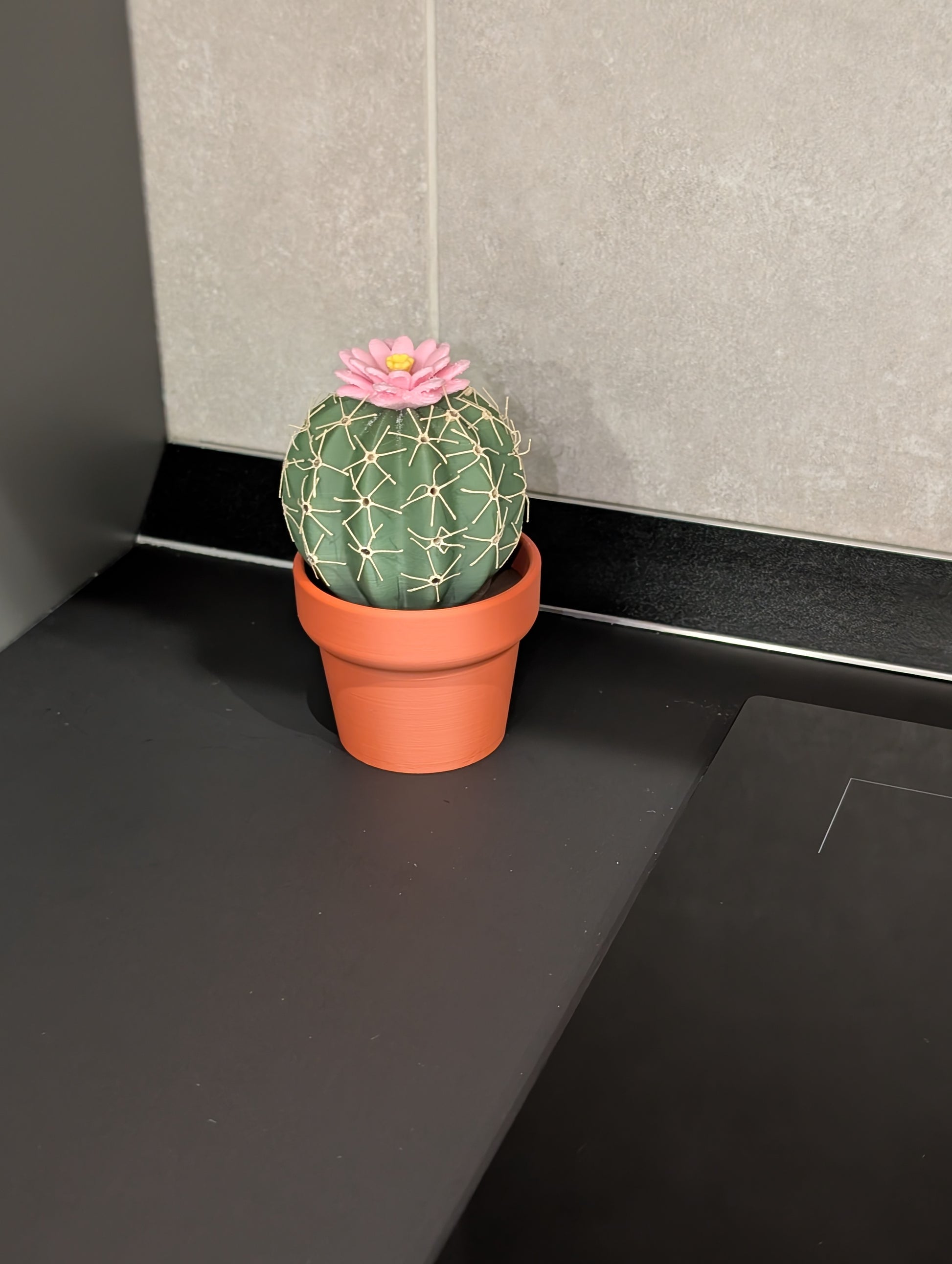 Cactus sale e pepe