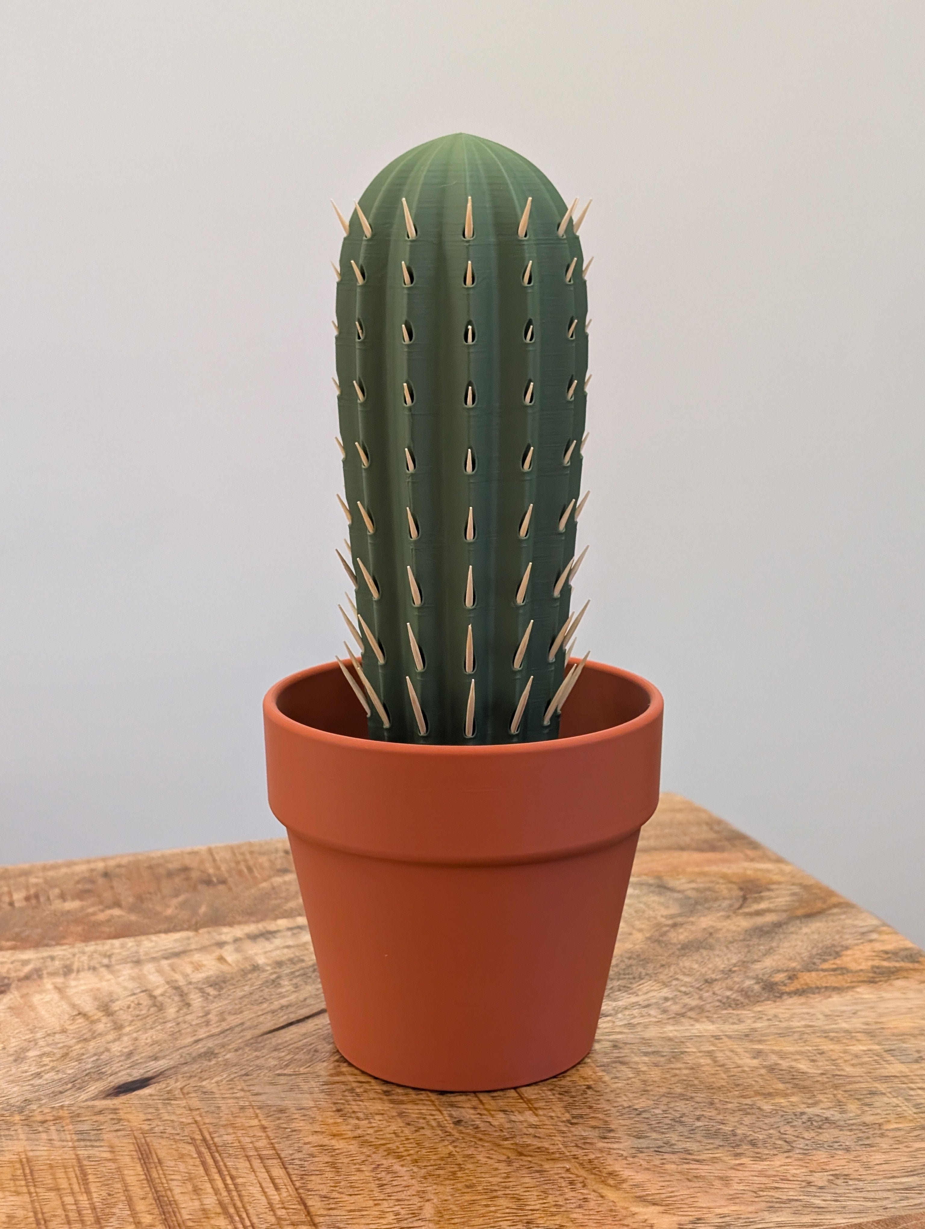 Cactus Pick, portastuzzicadenti spinoso