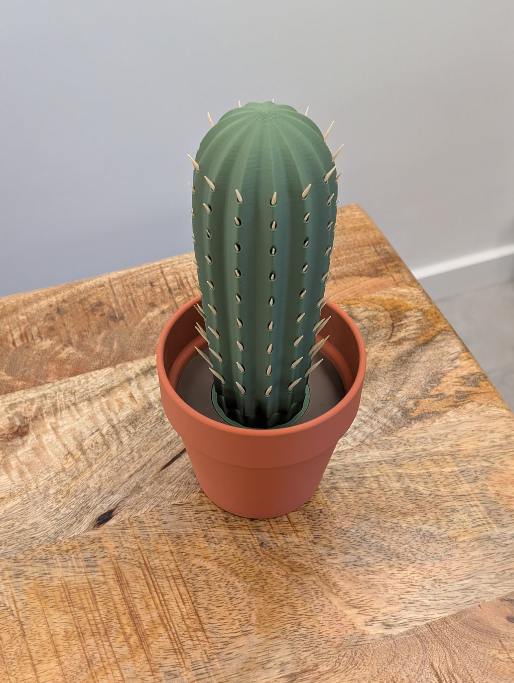 Cactus Pick, portastuzzicadenti spinoso