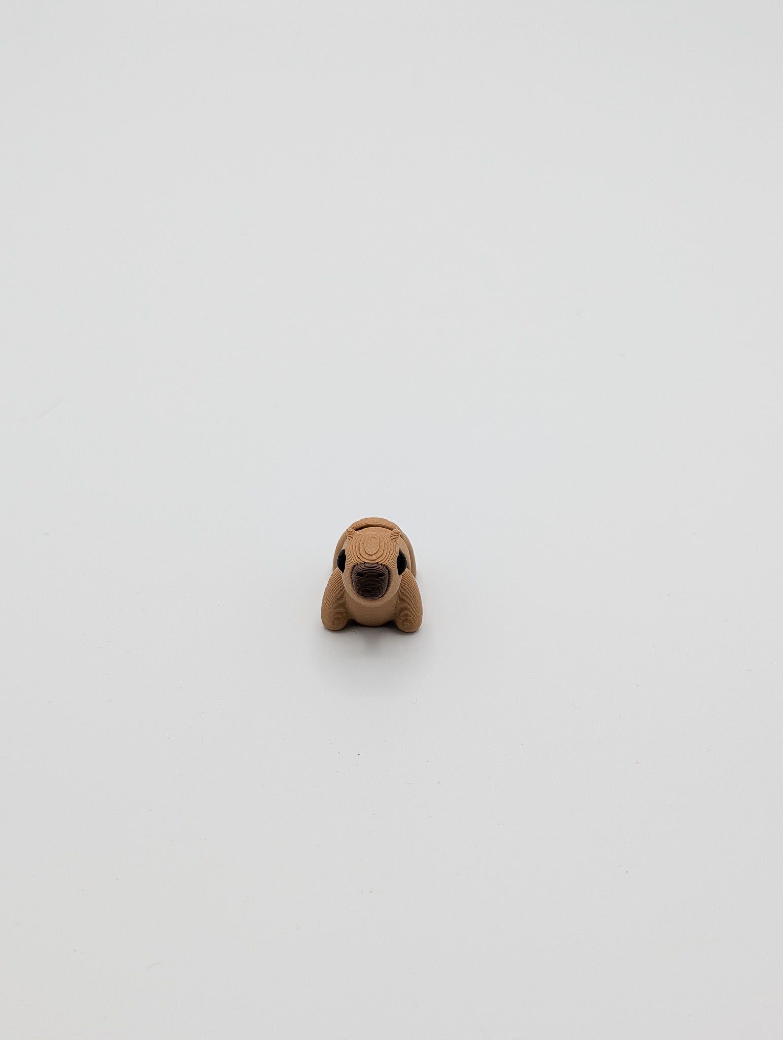 Capibara mini fidget
