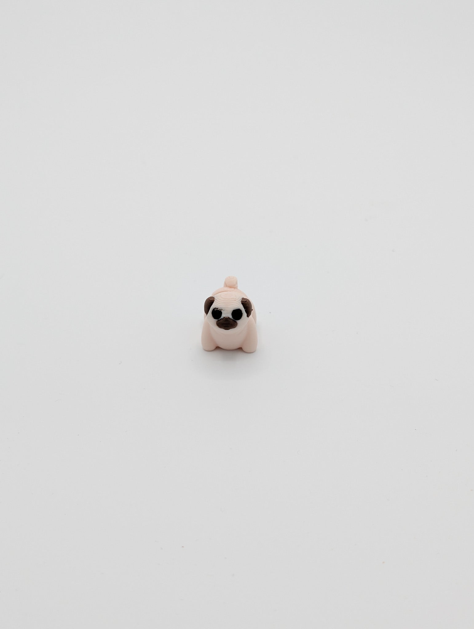 Carlino mini fidget