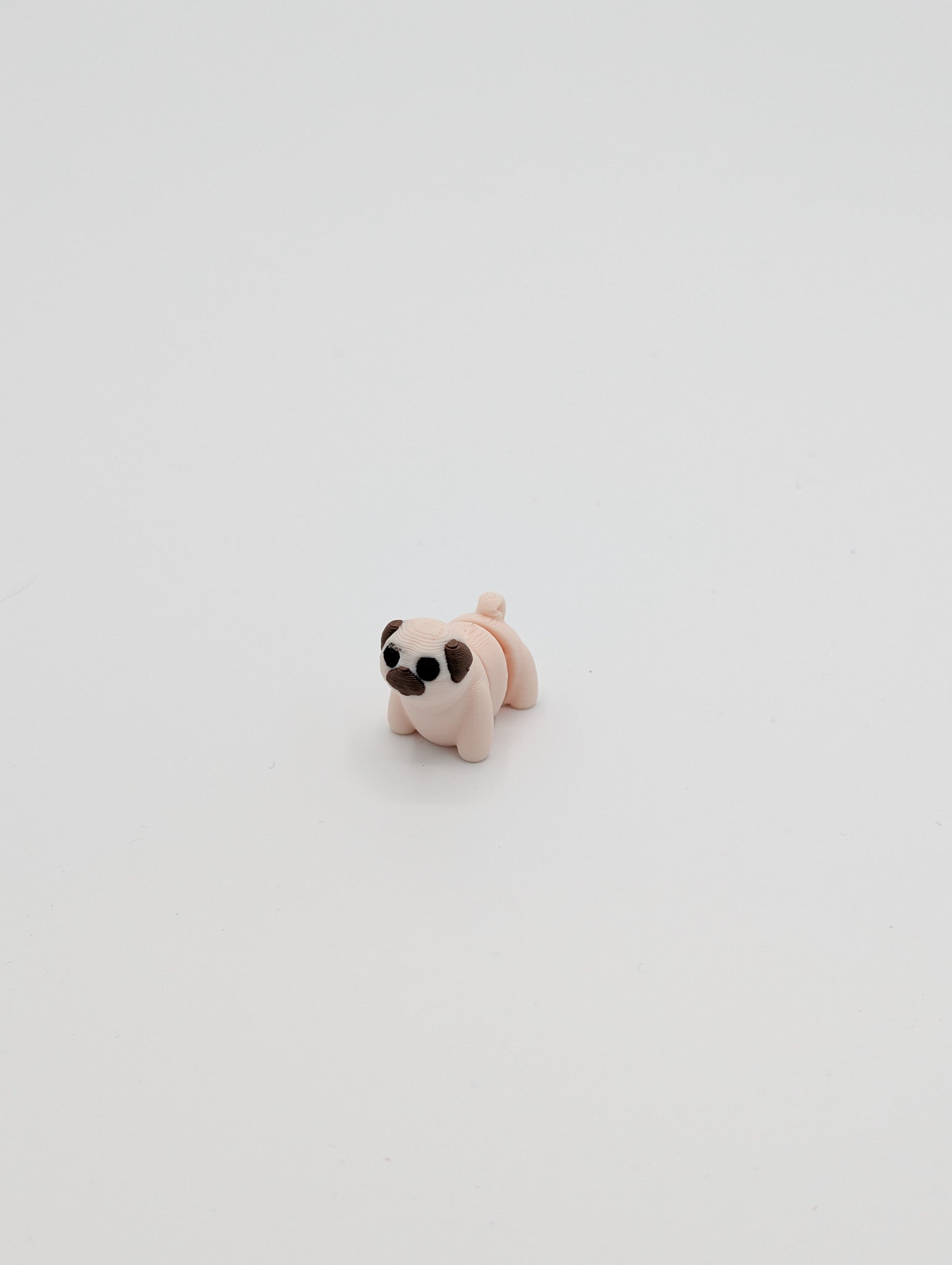 Carlino mini fidget