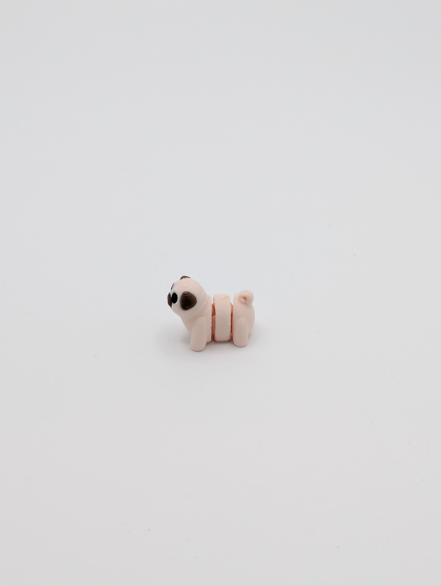 Carlino mini fidget