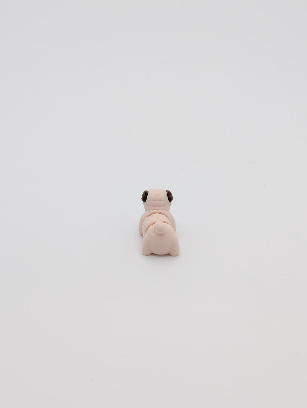 Carlino mini fidget