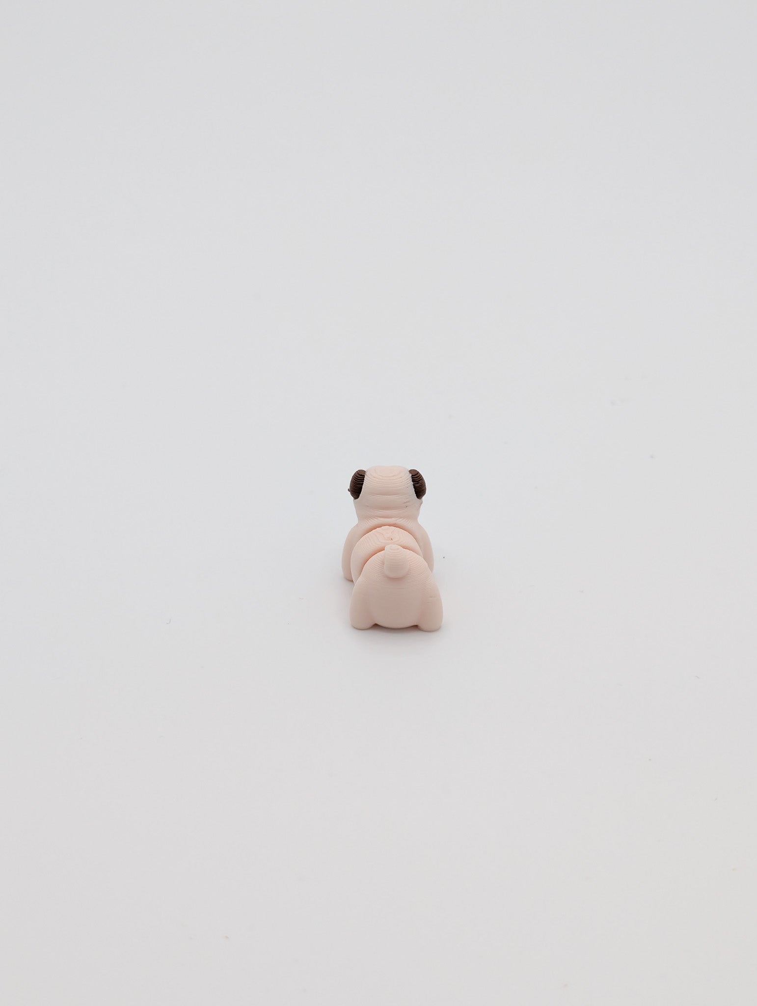 Carlino mini fidget