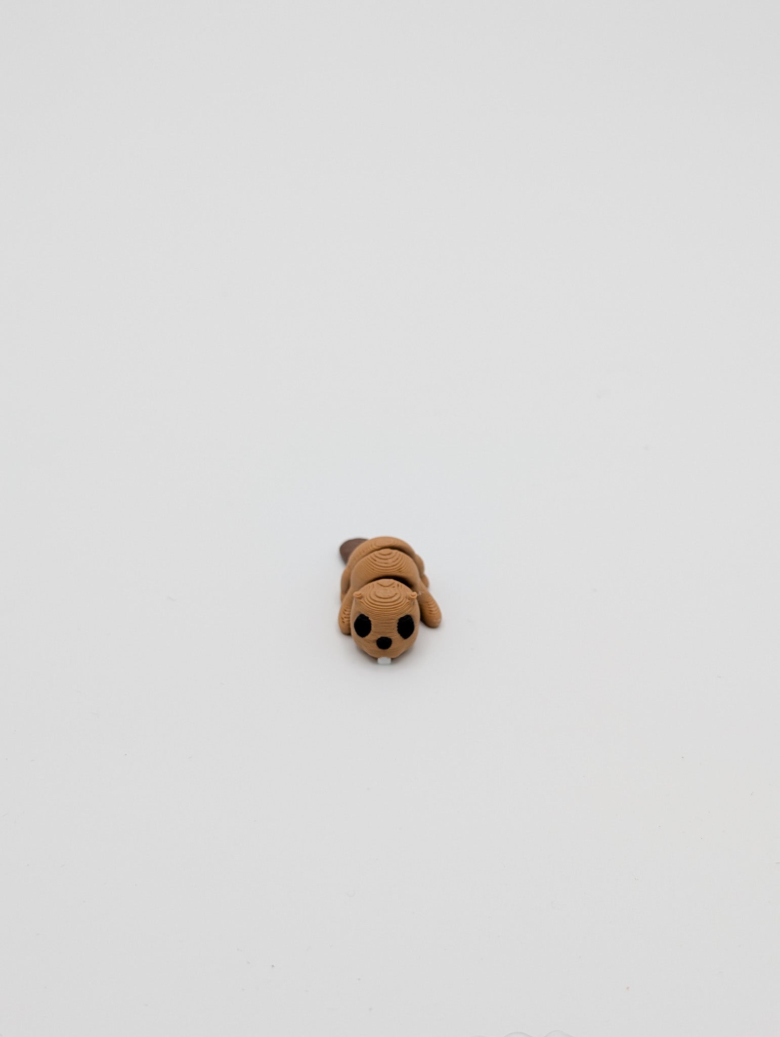 Castoro mini fidget