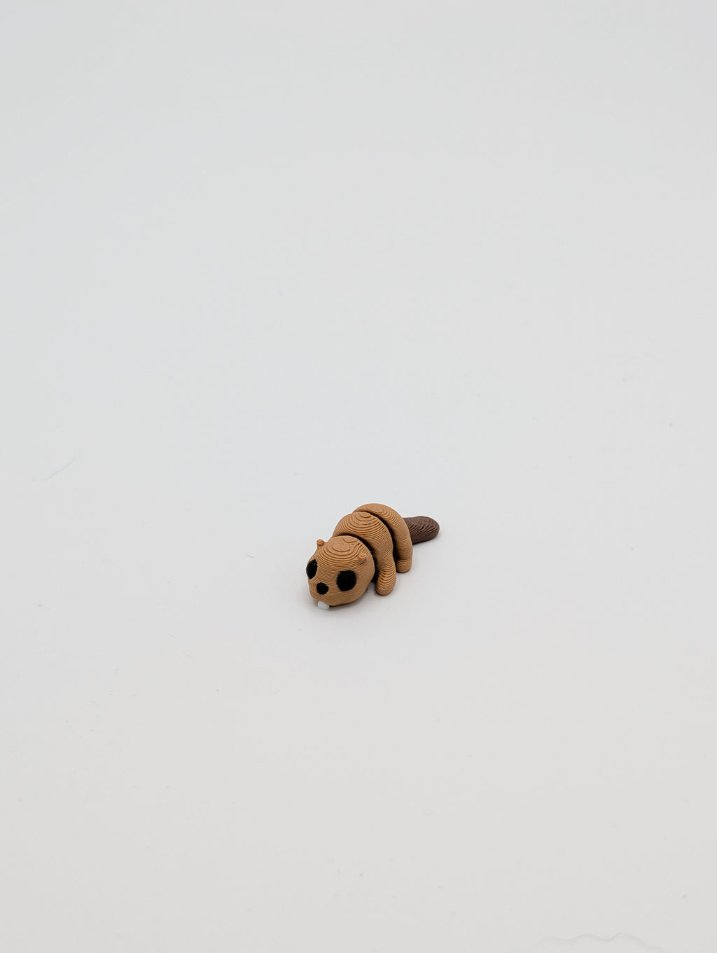 Castoro mini fidget