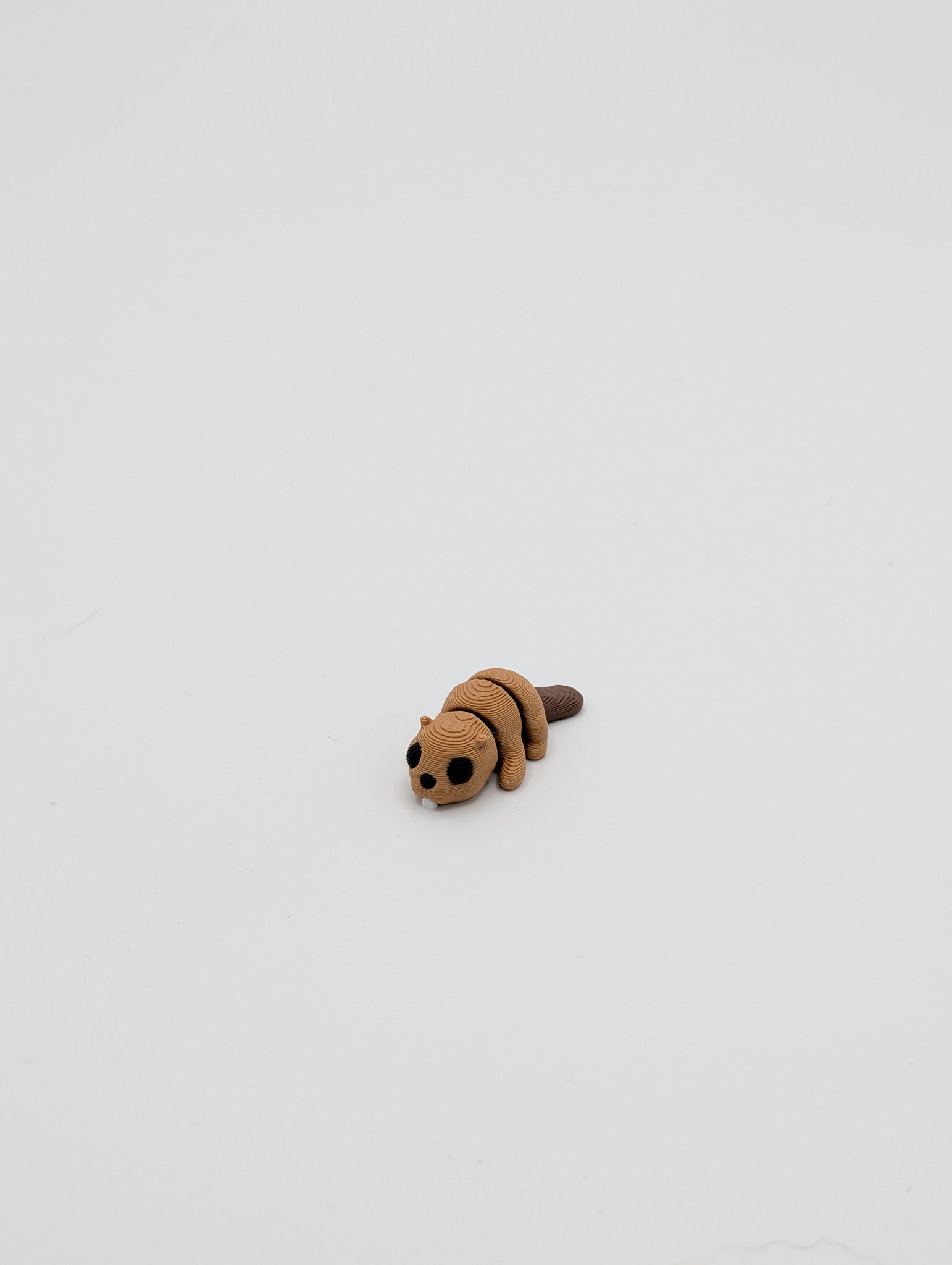 Castoro mini fidget