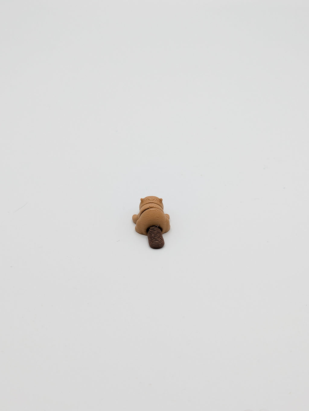 Castoro mini fidget