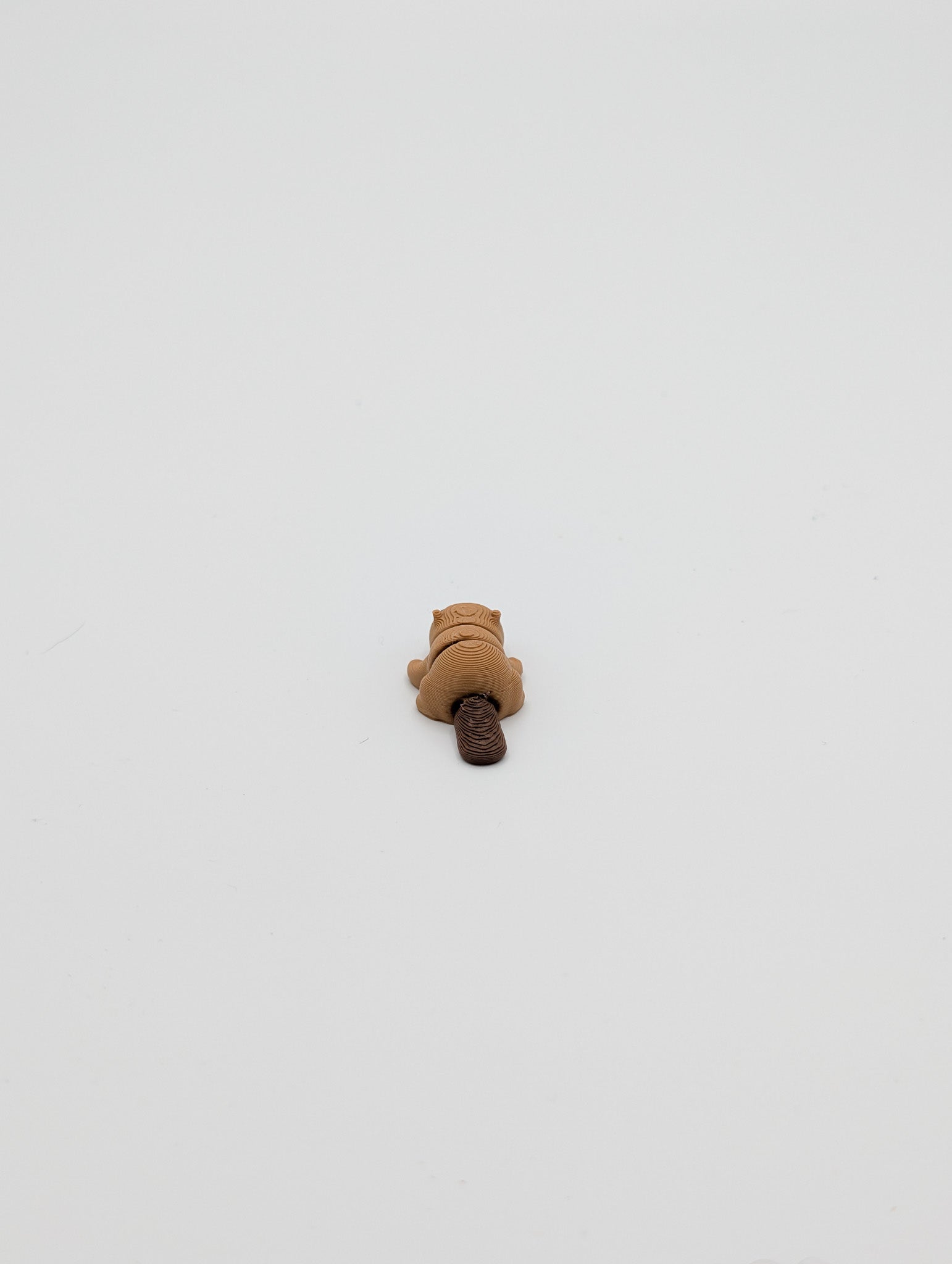 Castoro mini fidget