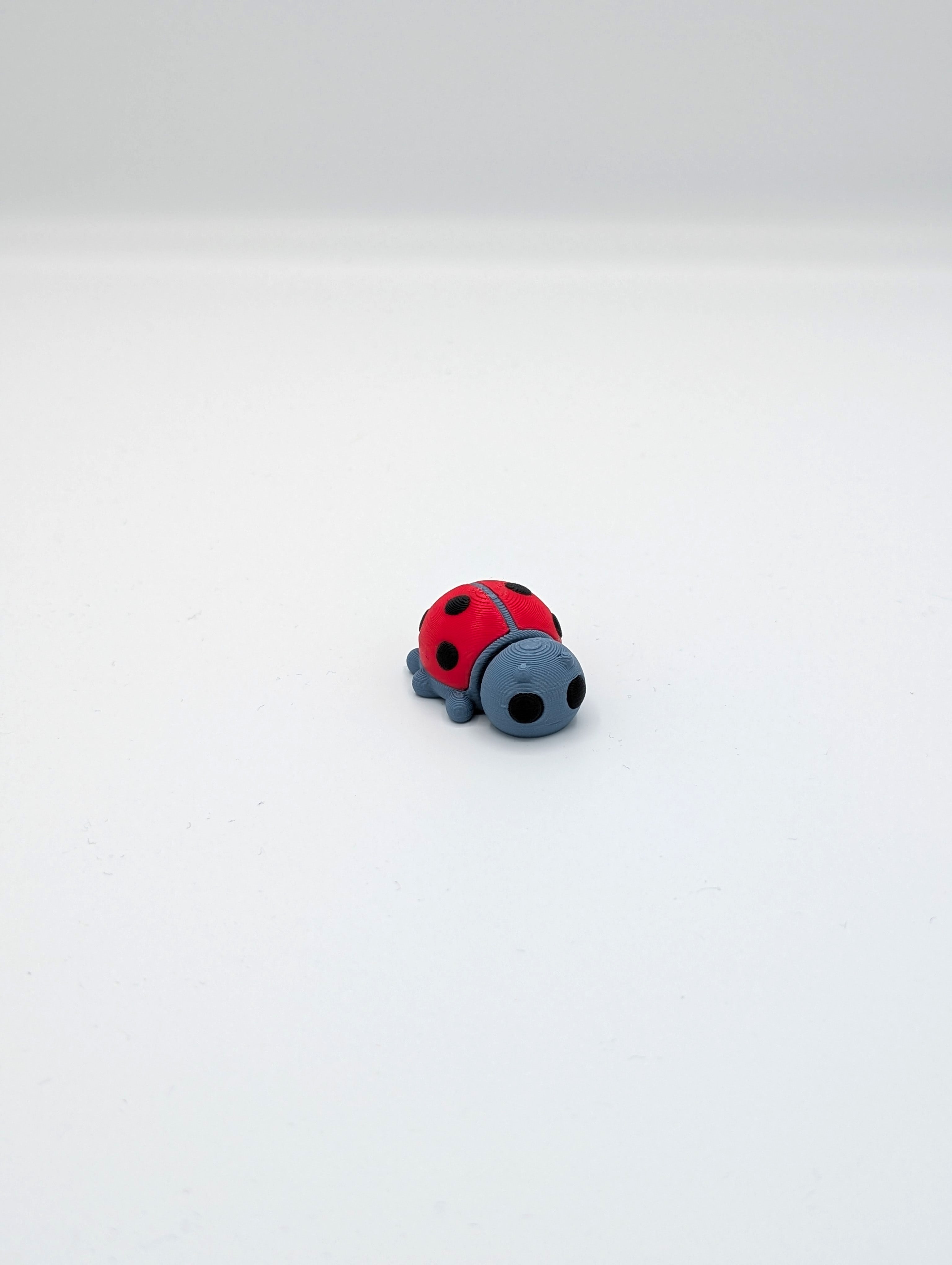Mini fidget de mariquita