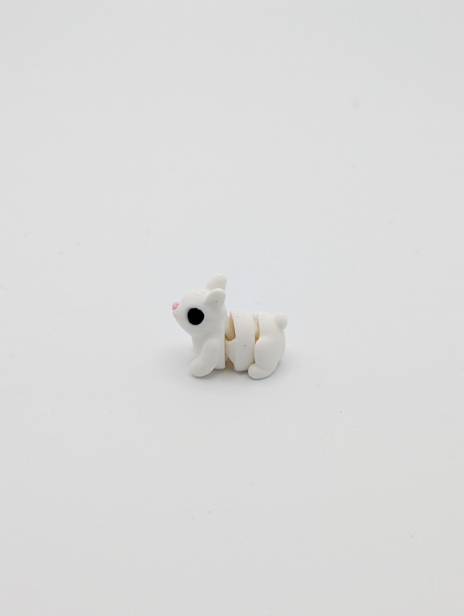 Coniglio mini fidget