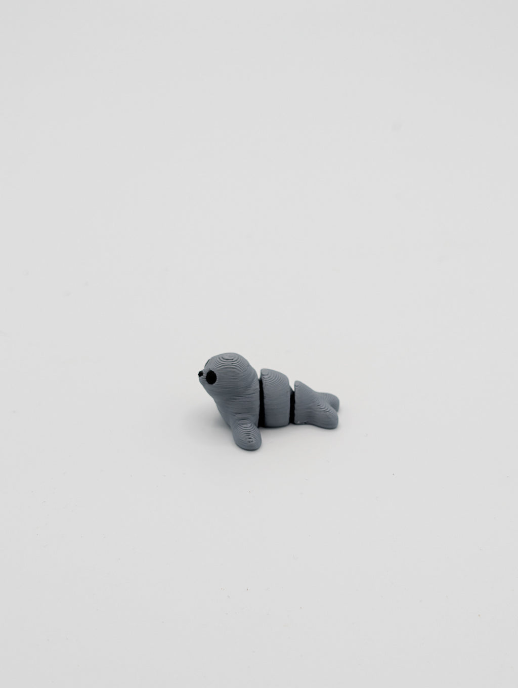 Foca mini fidget