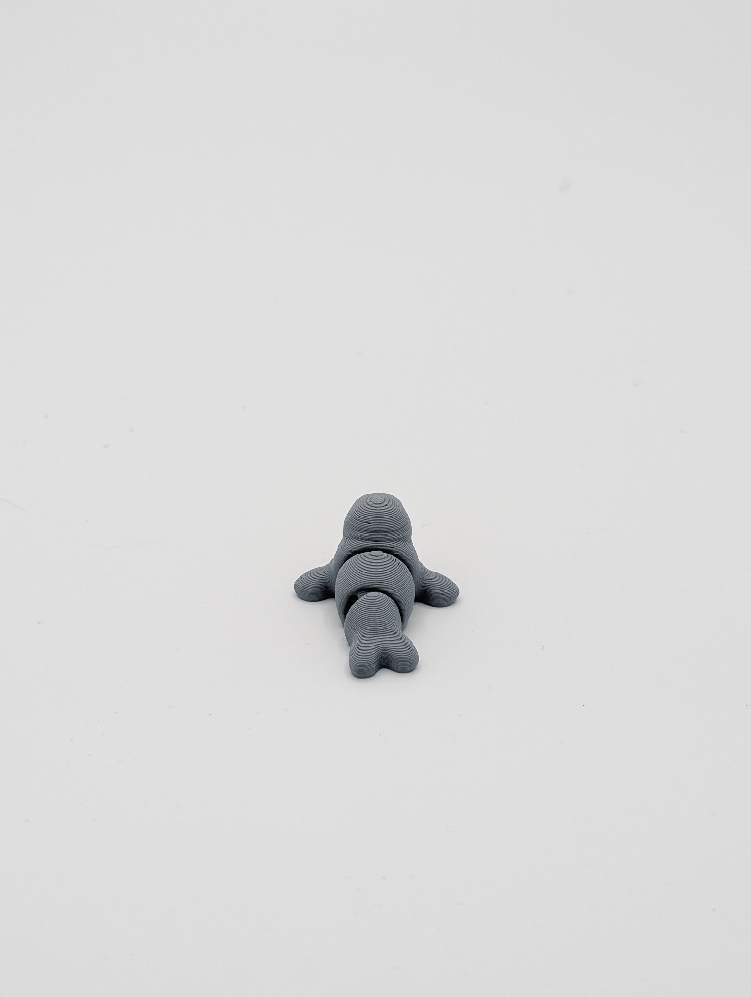 Foca mini fidget