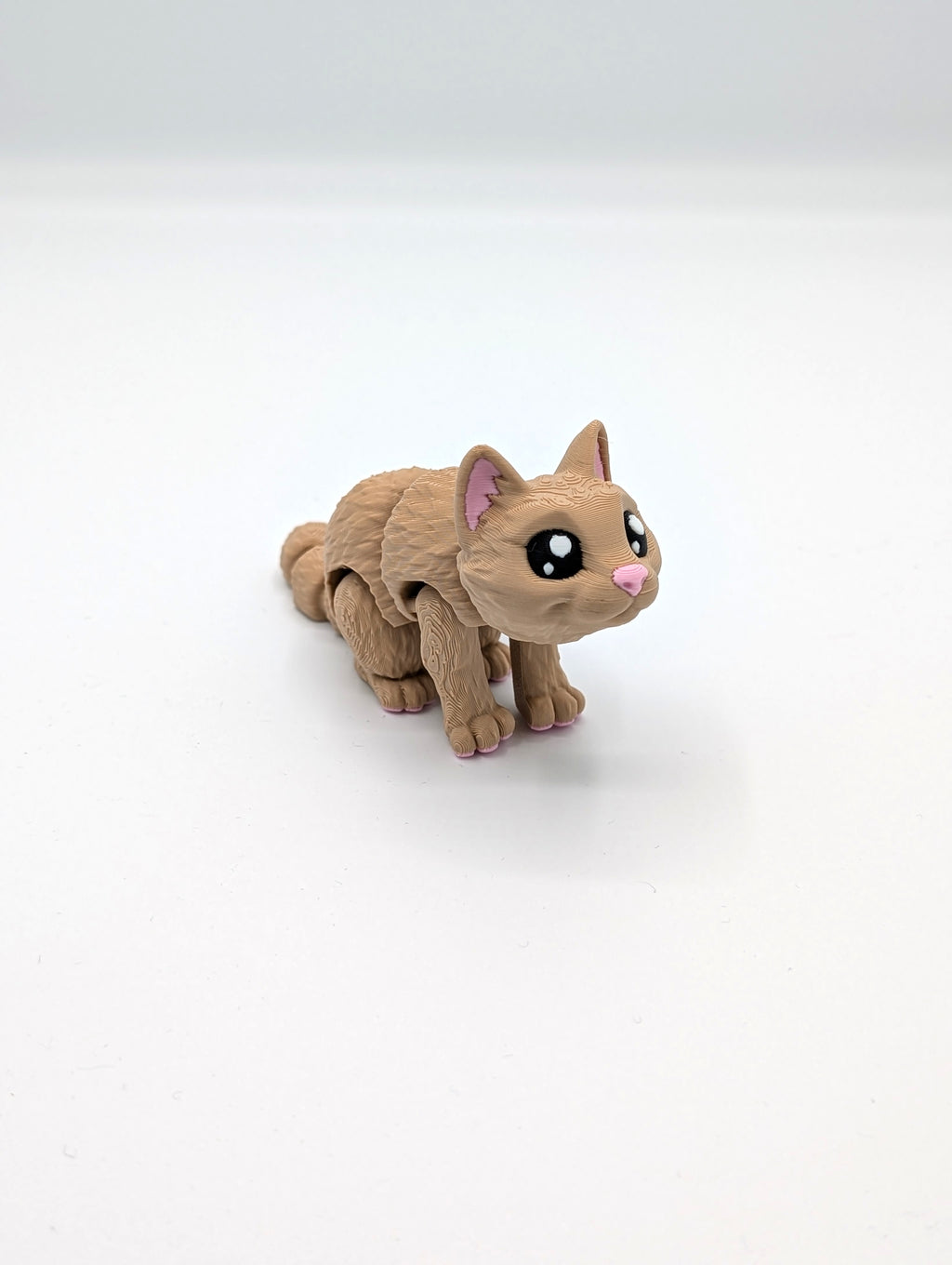 Fidget cat
