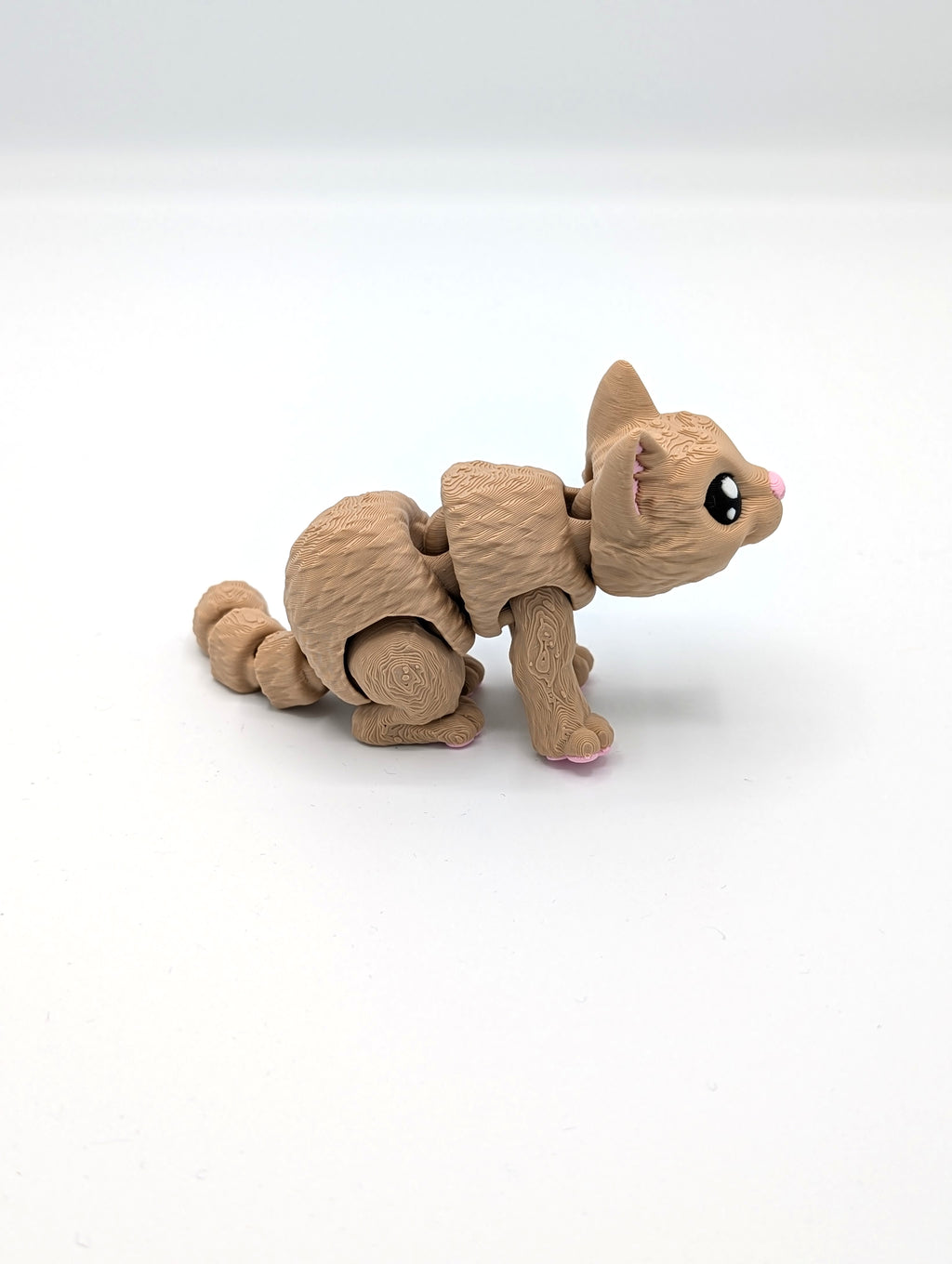 Fidget cat