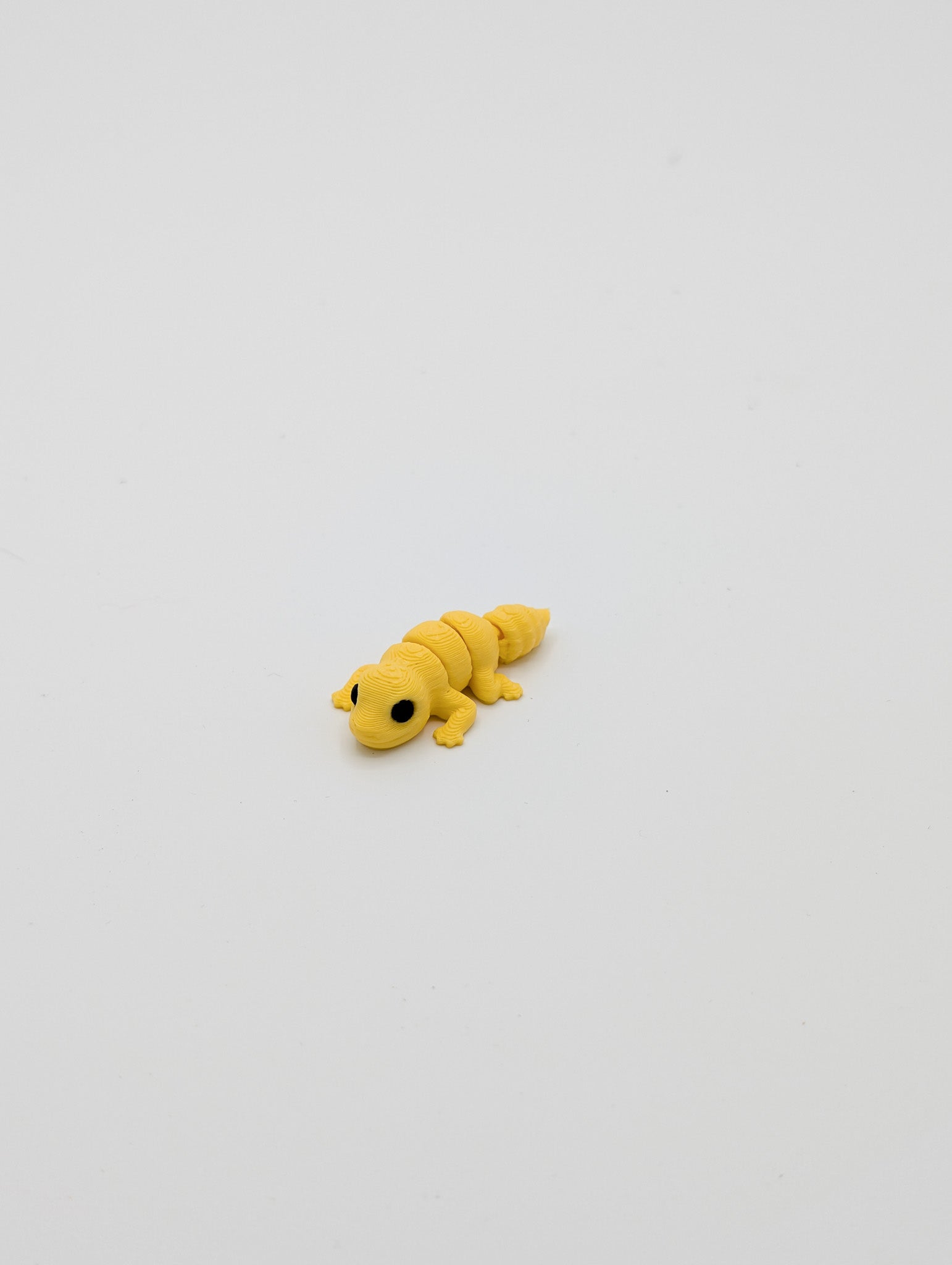Geco leopardino mini fidget