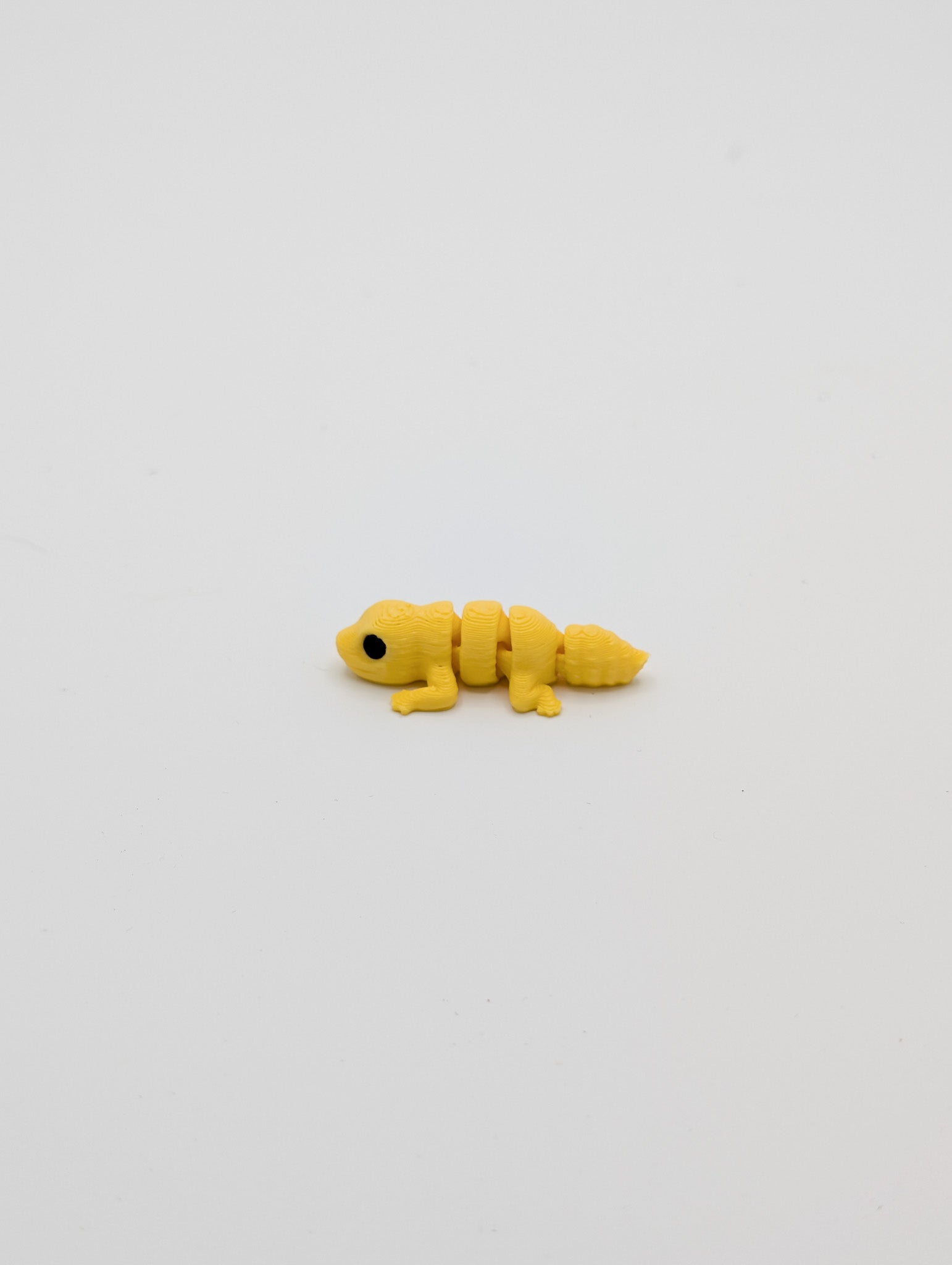 Geco leopardino mini fidget
