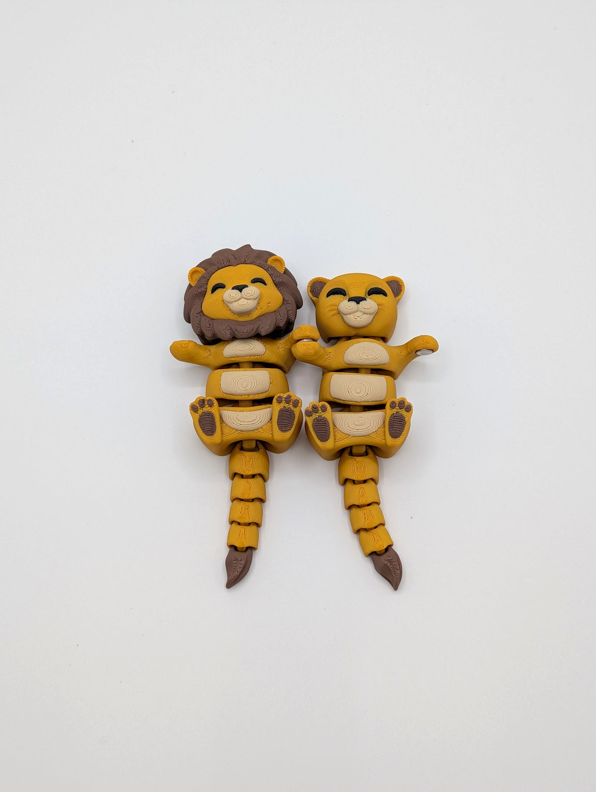 Leone e Leonessa fidget