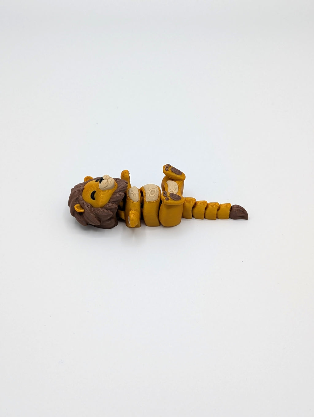 Leone e Leonessa coppia fidget