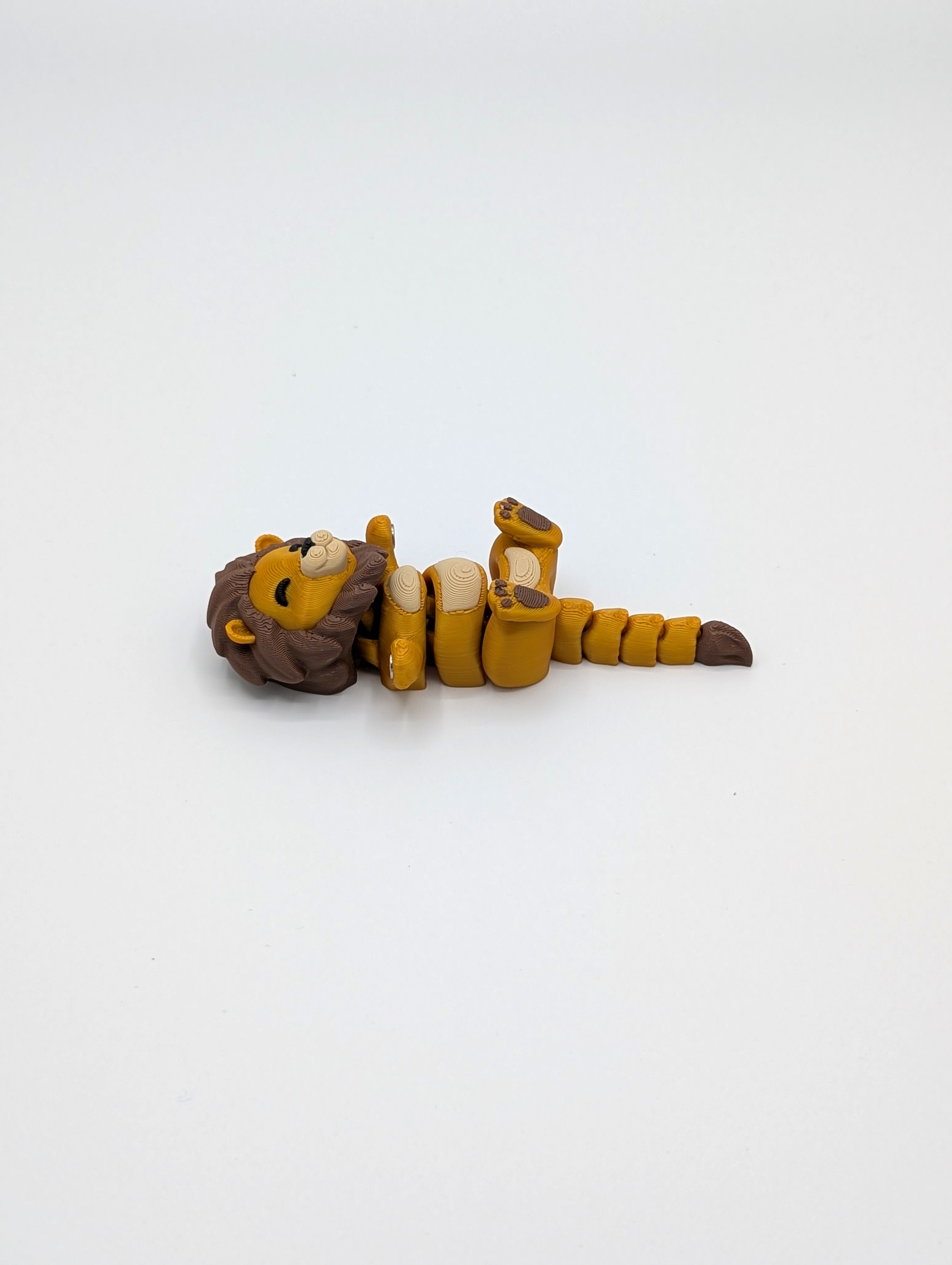 Leone e Leonessa coppia fidget