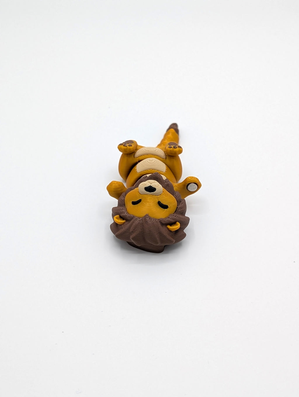 Leone e Leonessa coppia fidget
