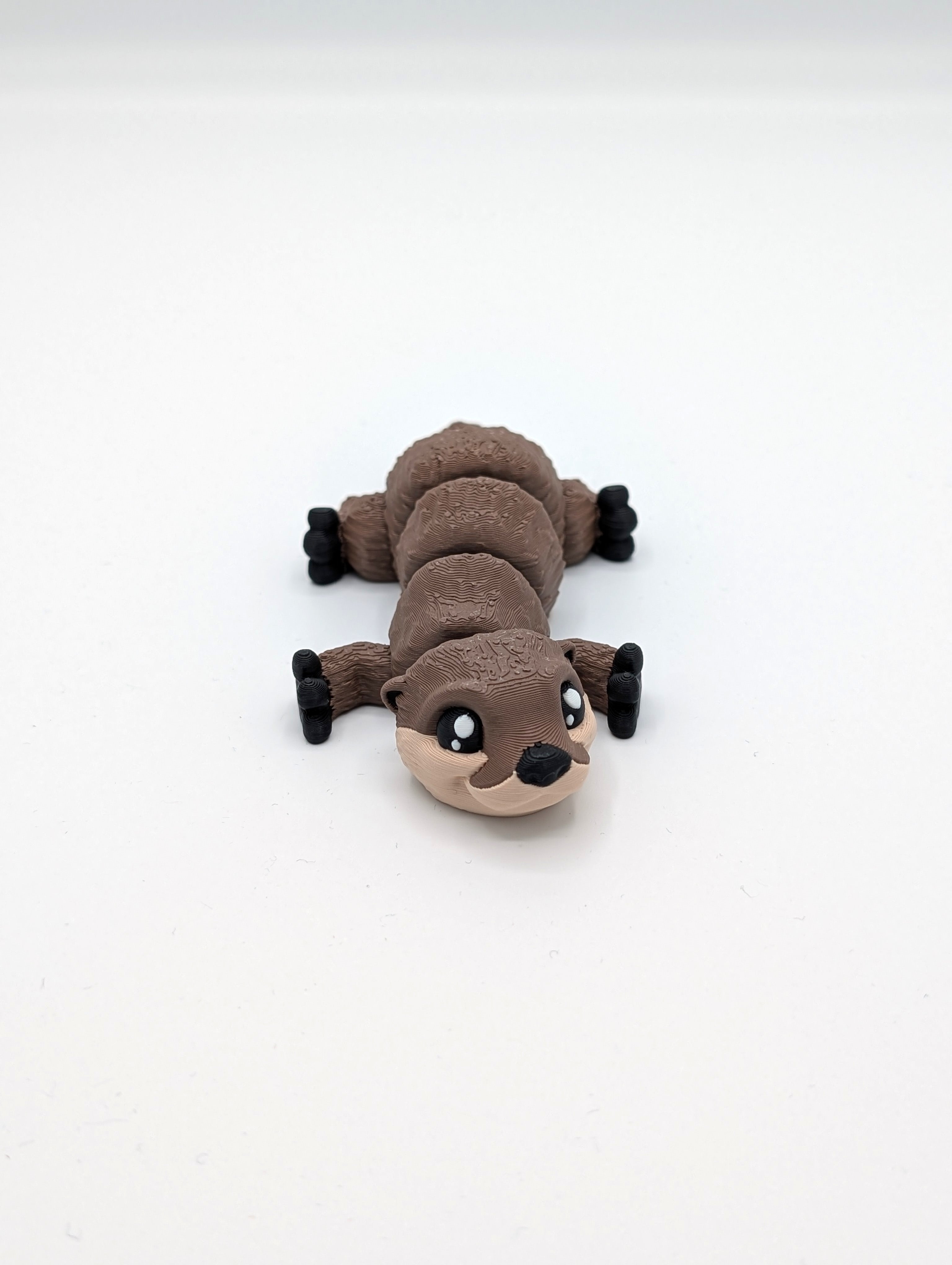 Lontra fidget