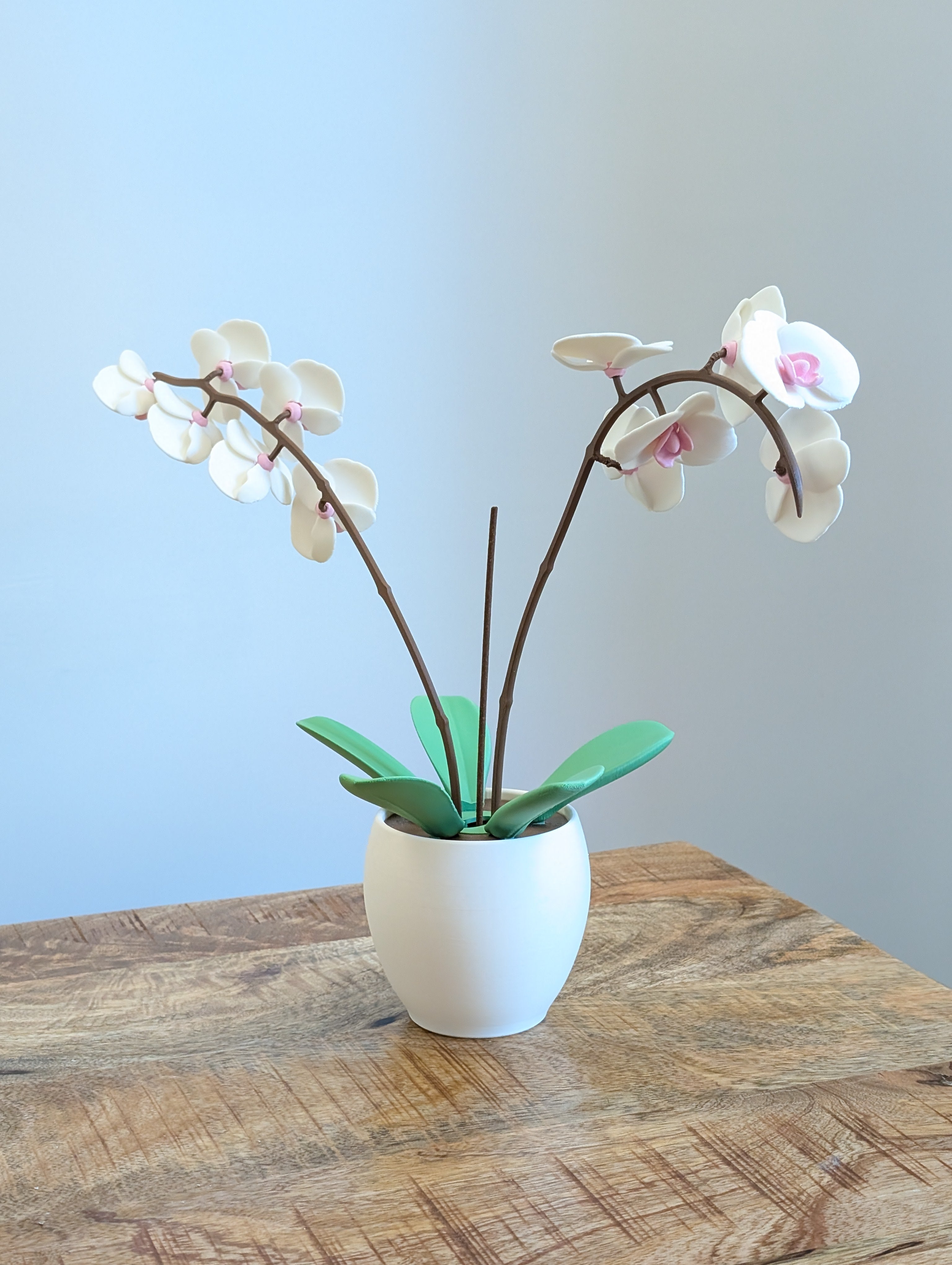 Orchidea Aromatica, diffusore d'incenso