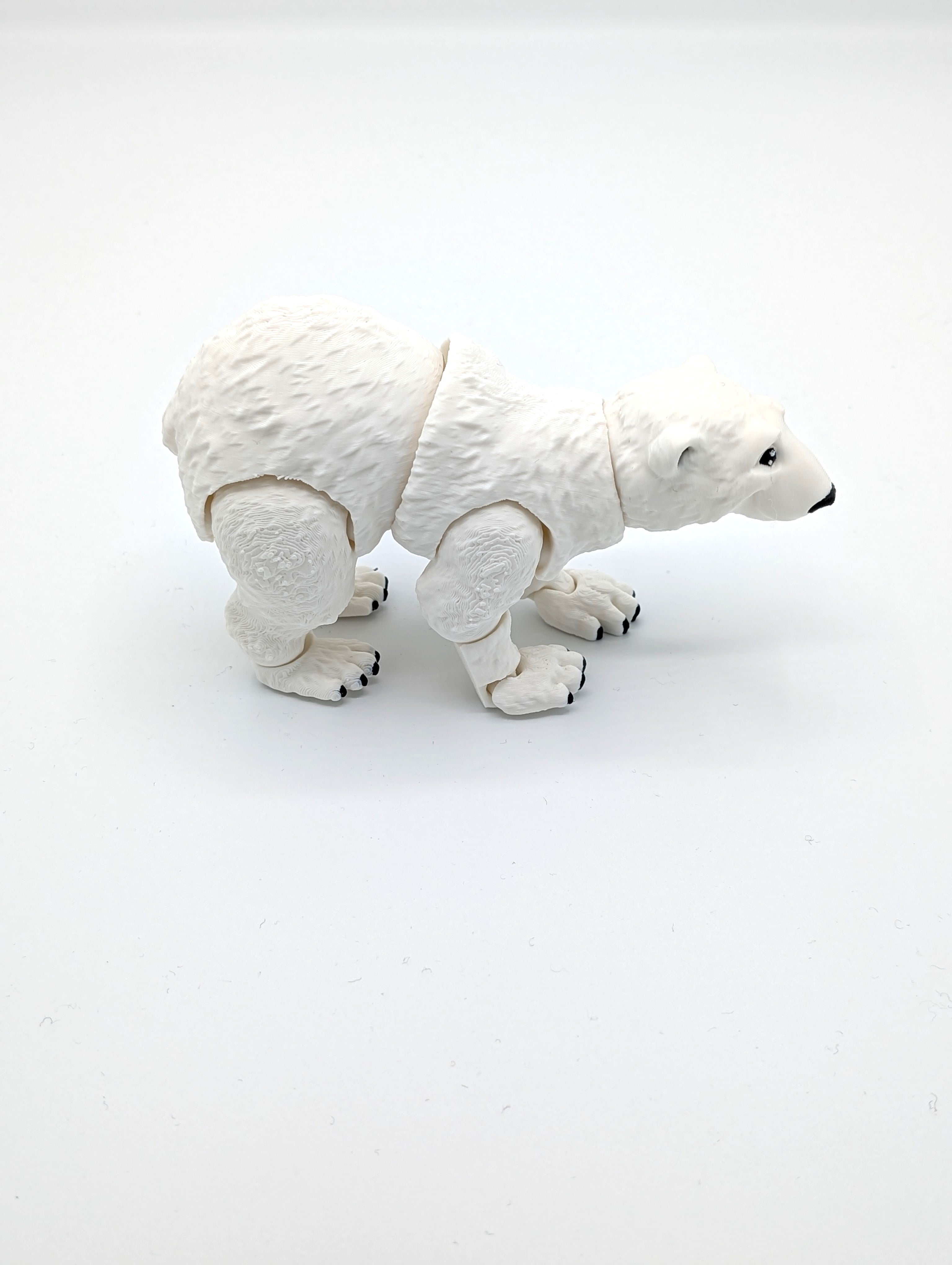 Orso polare fidget