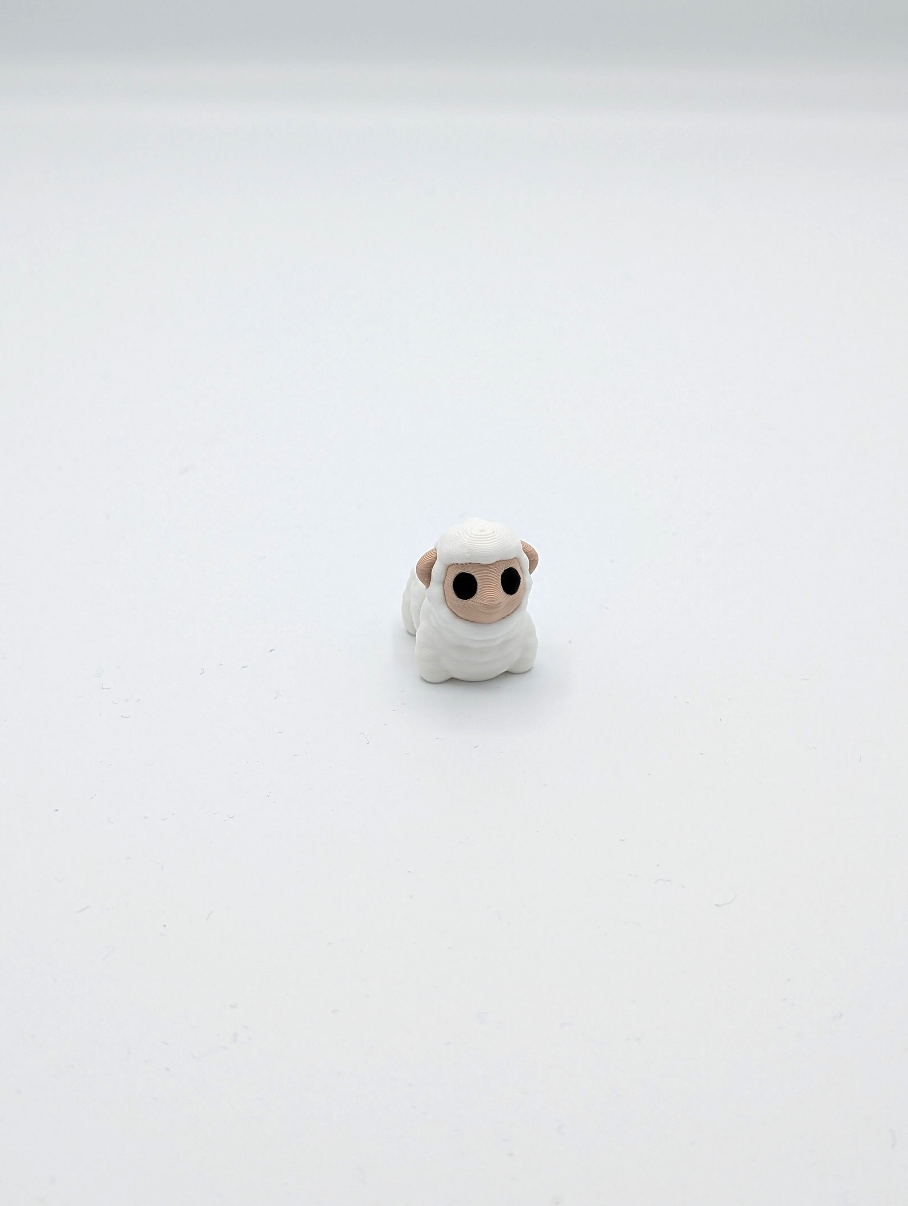 Pecora mini fidget