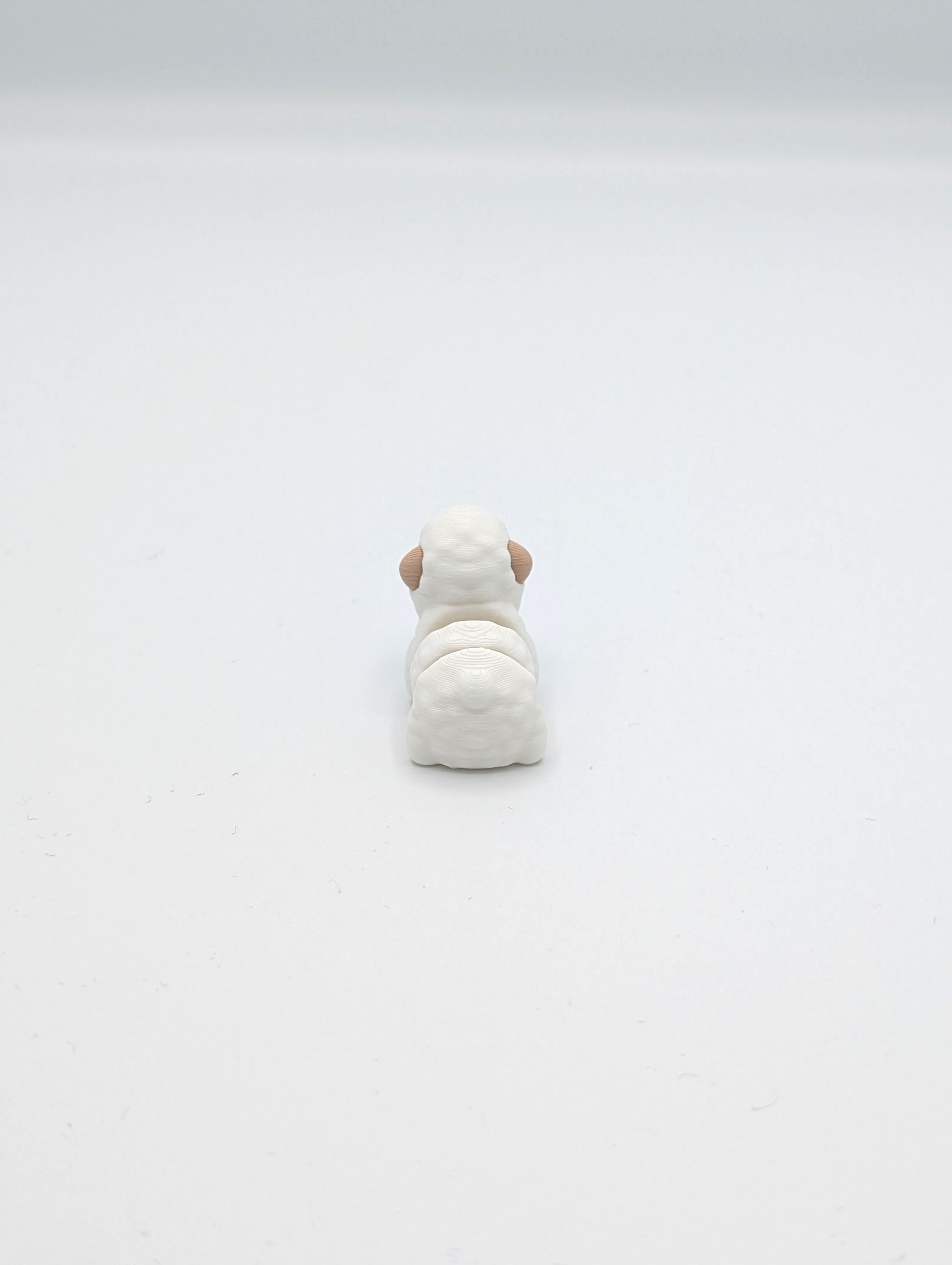 Pecora mini fidget