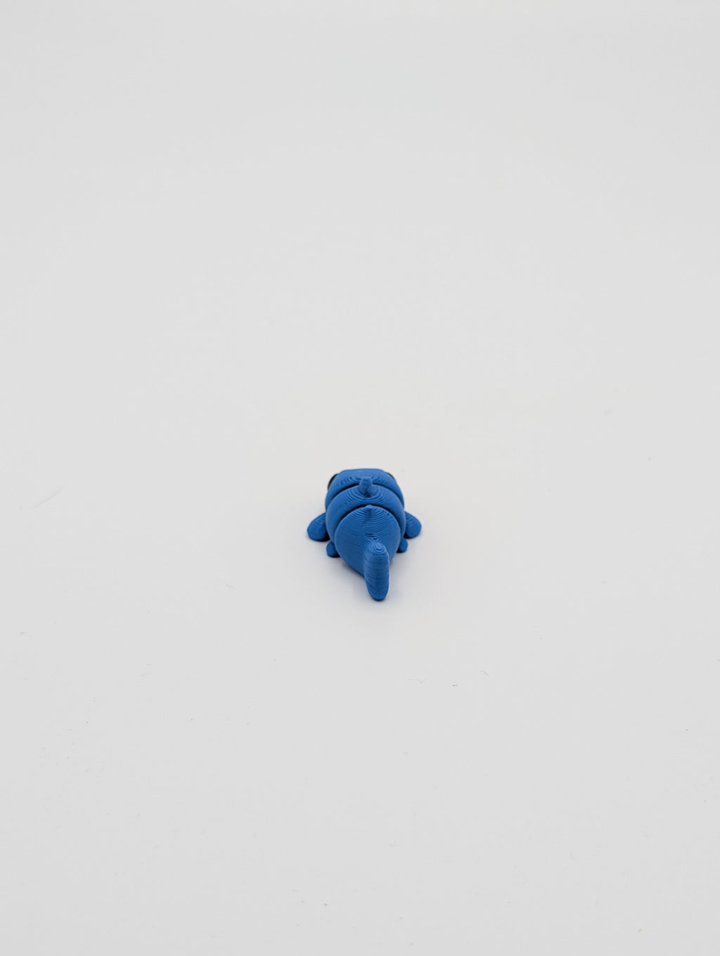 Pesce gatto mini fidget