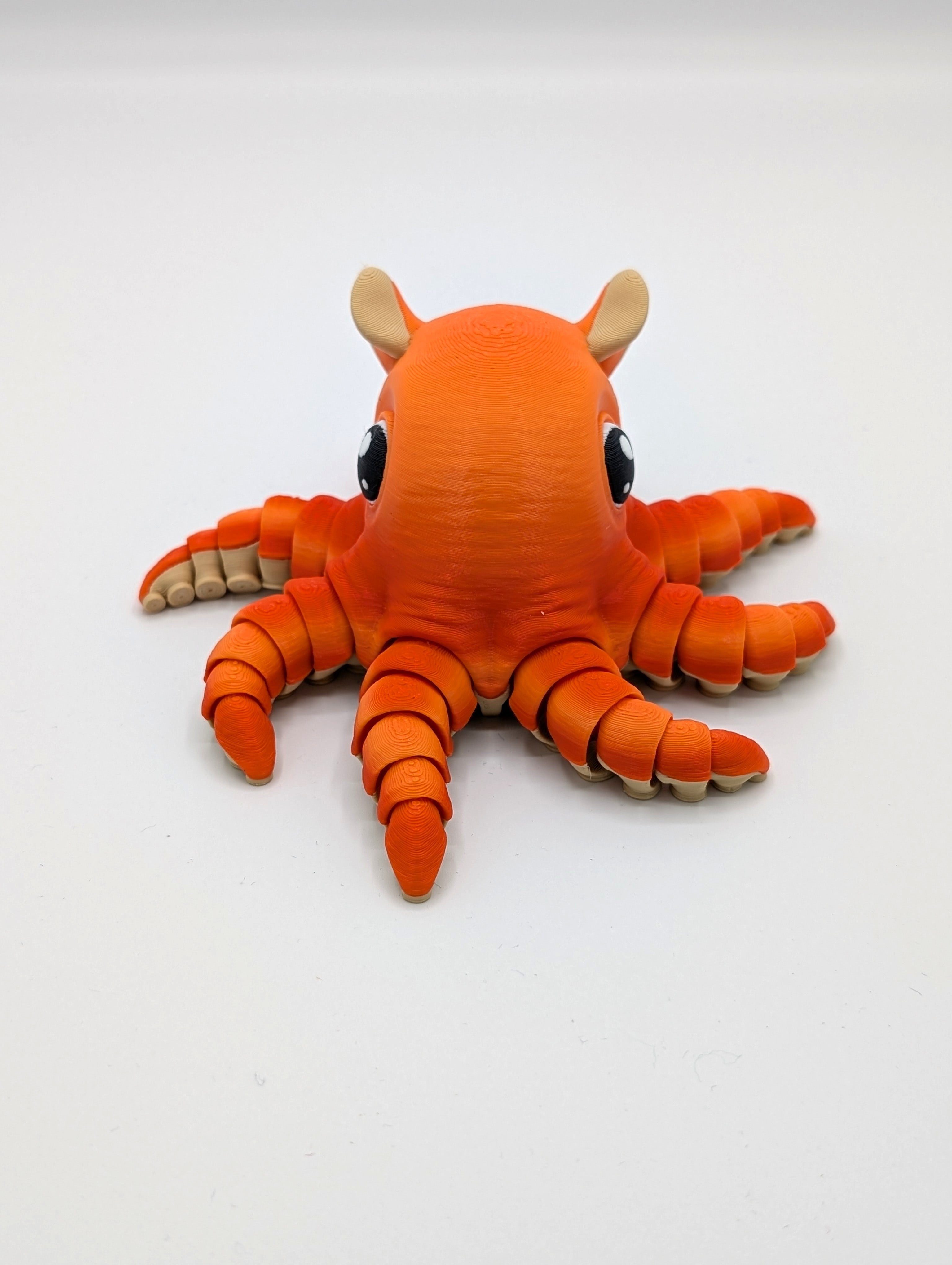 Polpo Dumbo fidget