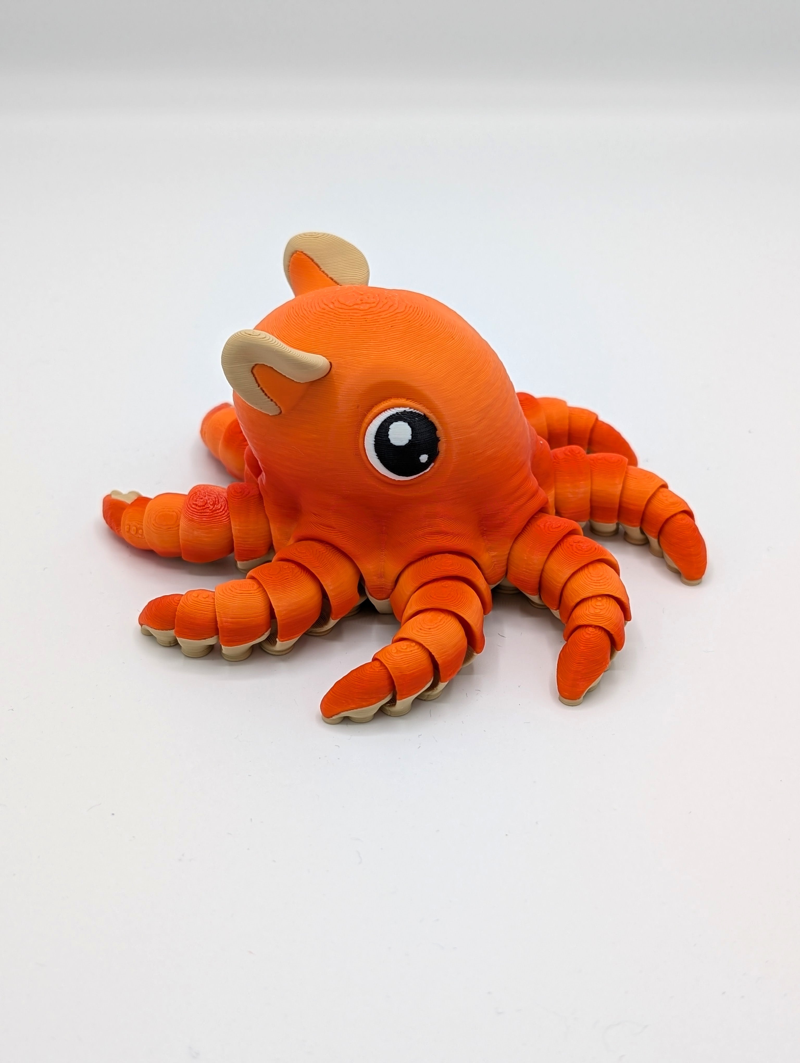 Polpo Dumbo fidget