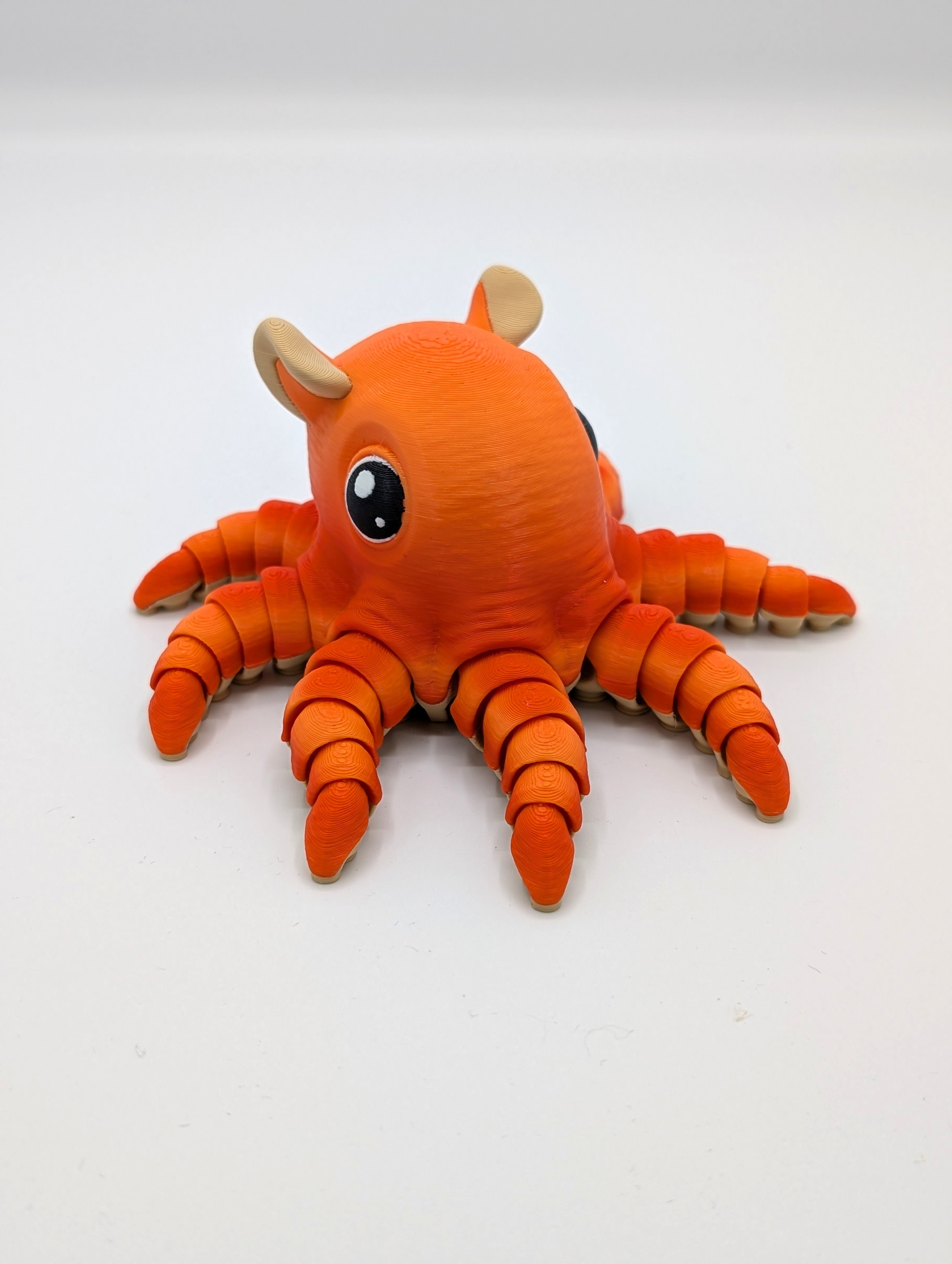 Polpo Dumbo fidget
