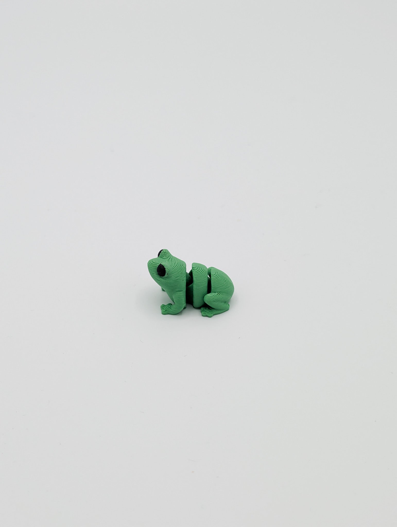 Rana mini fidget