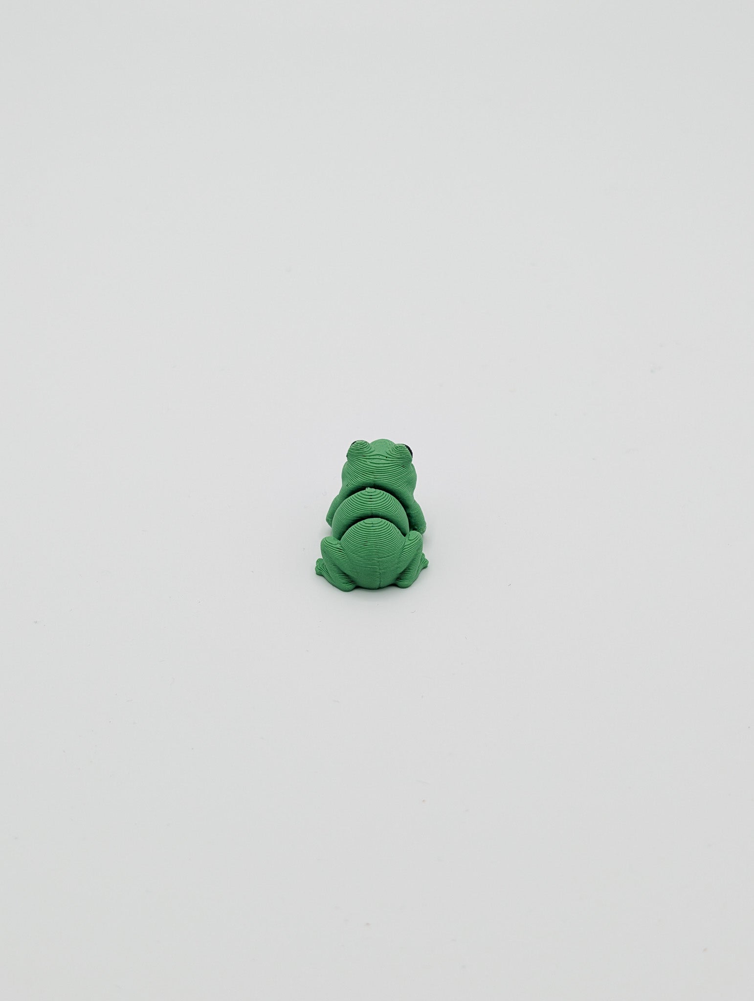 Rana mini fidget