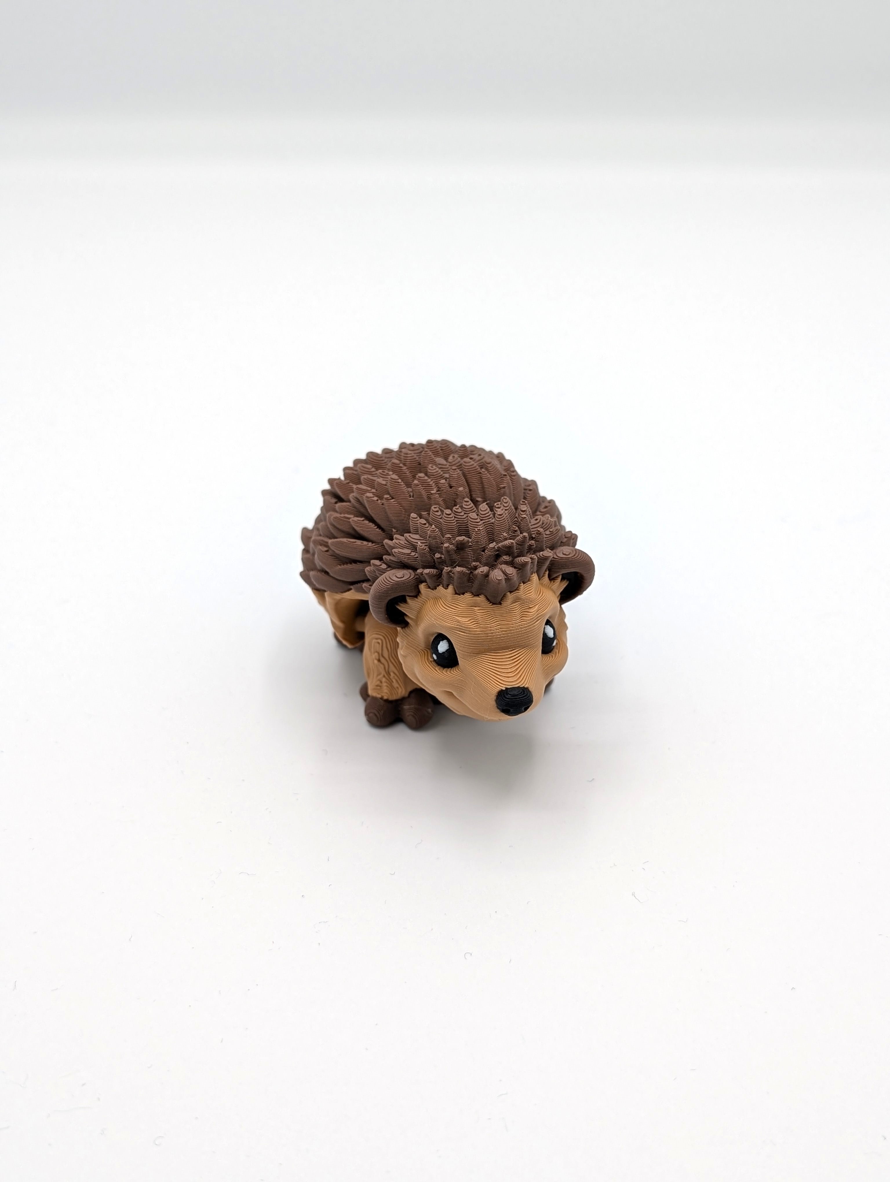 Riccio fidget