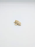Pterodattilo scheletro fossile mini fidget