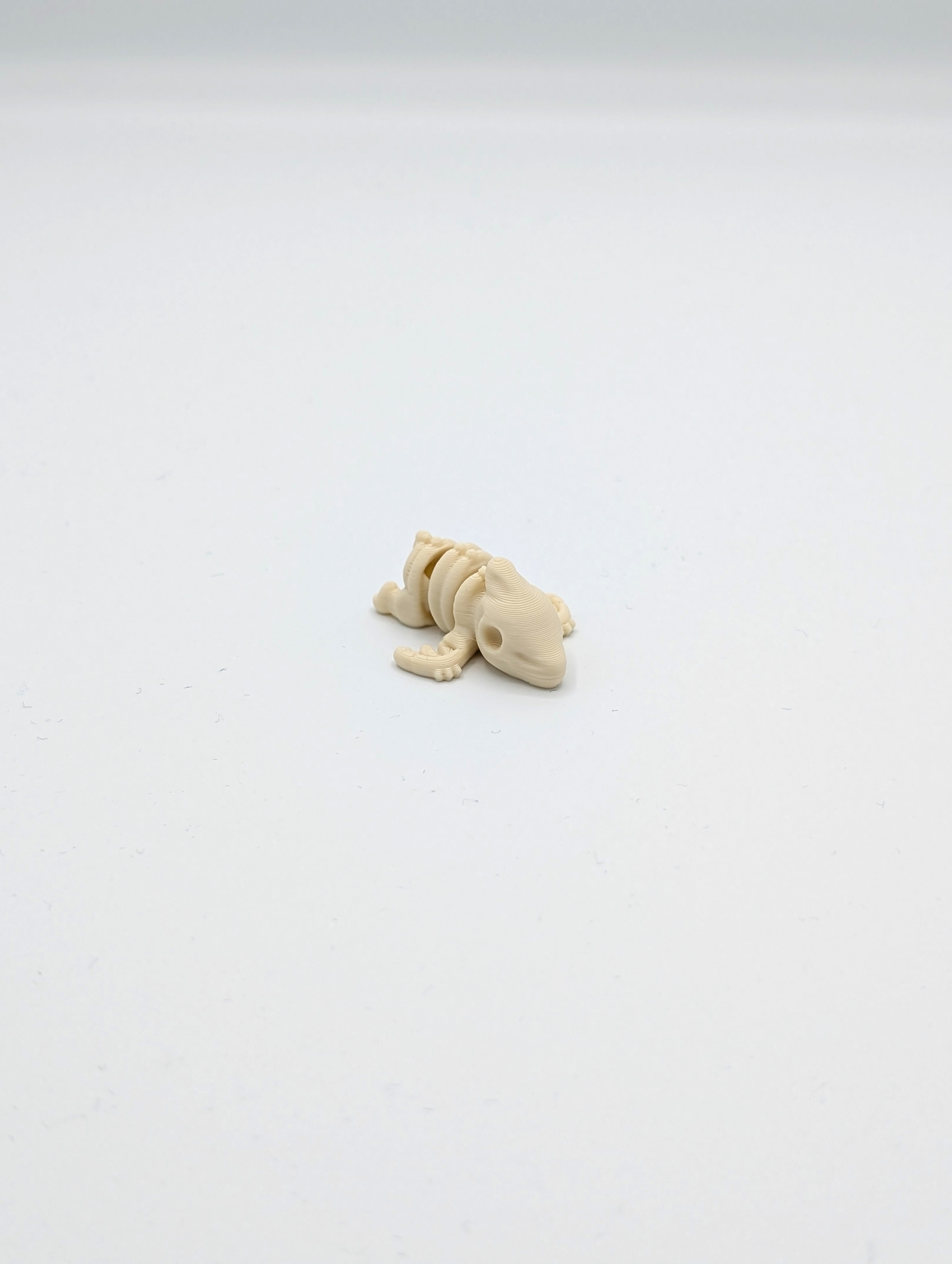 Pterodattilo scheletro fossile mini fidget