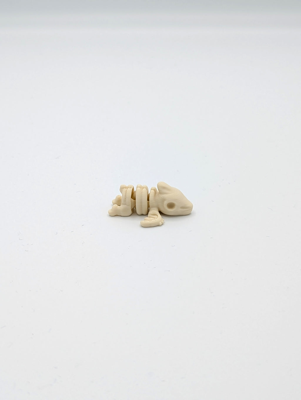 Pterodattilo scheletro fossile mini fidget