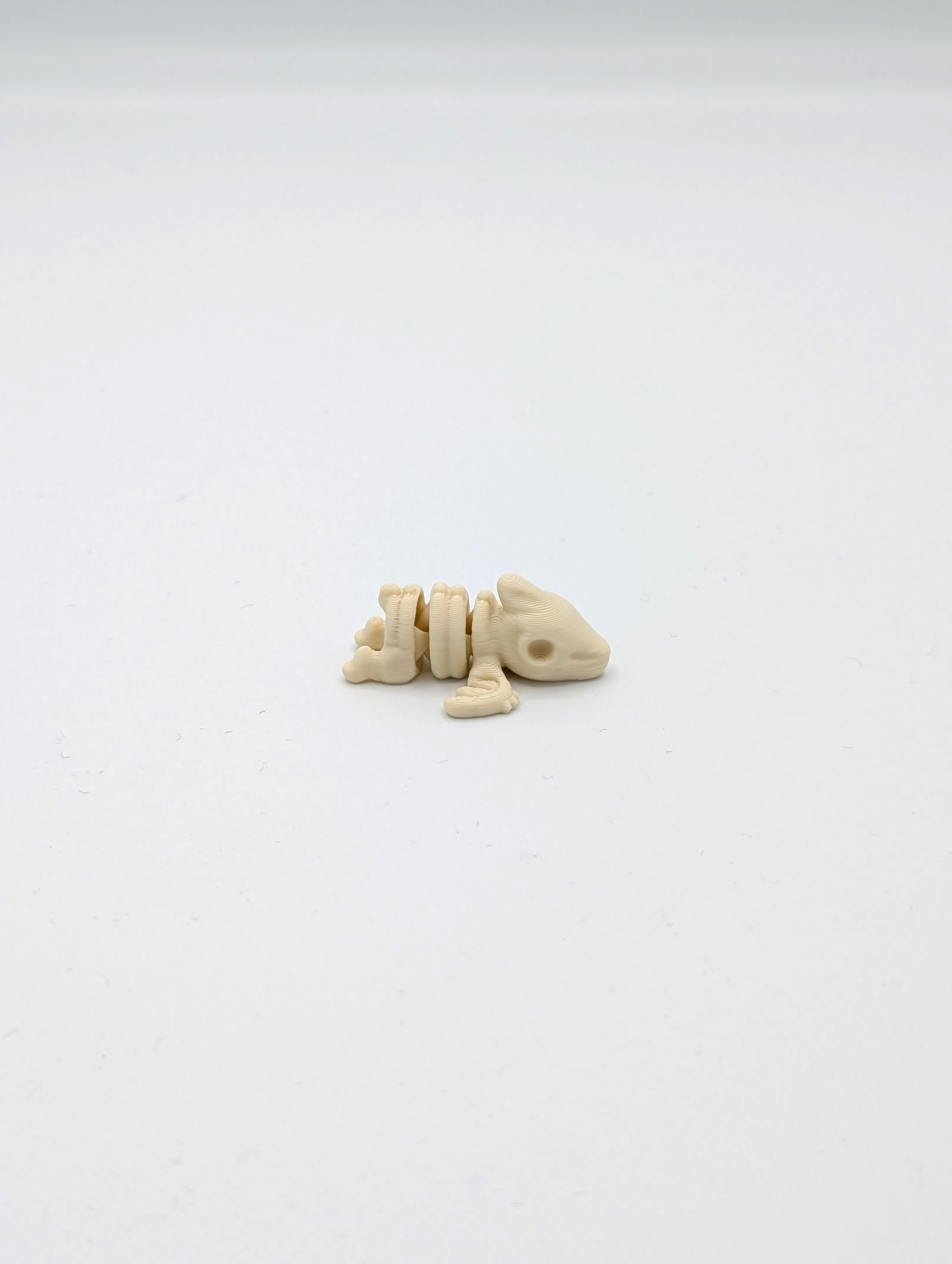 Pterodattilo scheletro fossile mini fidget