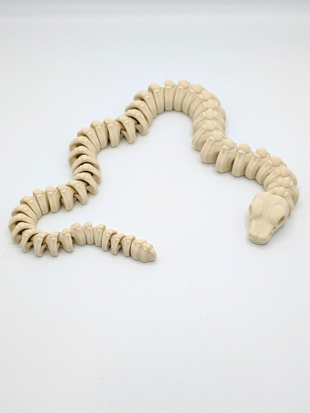 Serpente scheletro fossile fidget