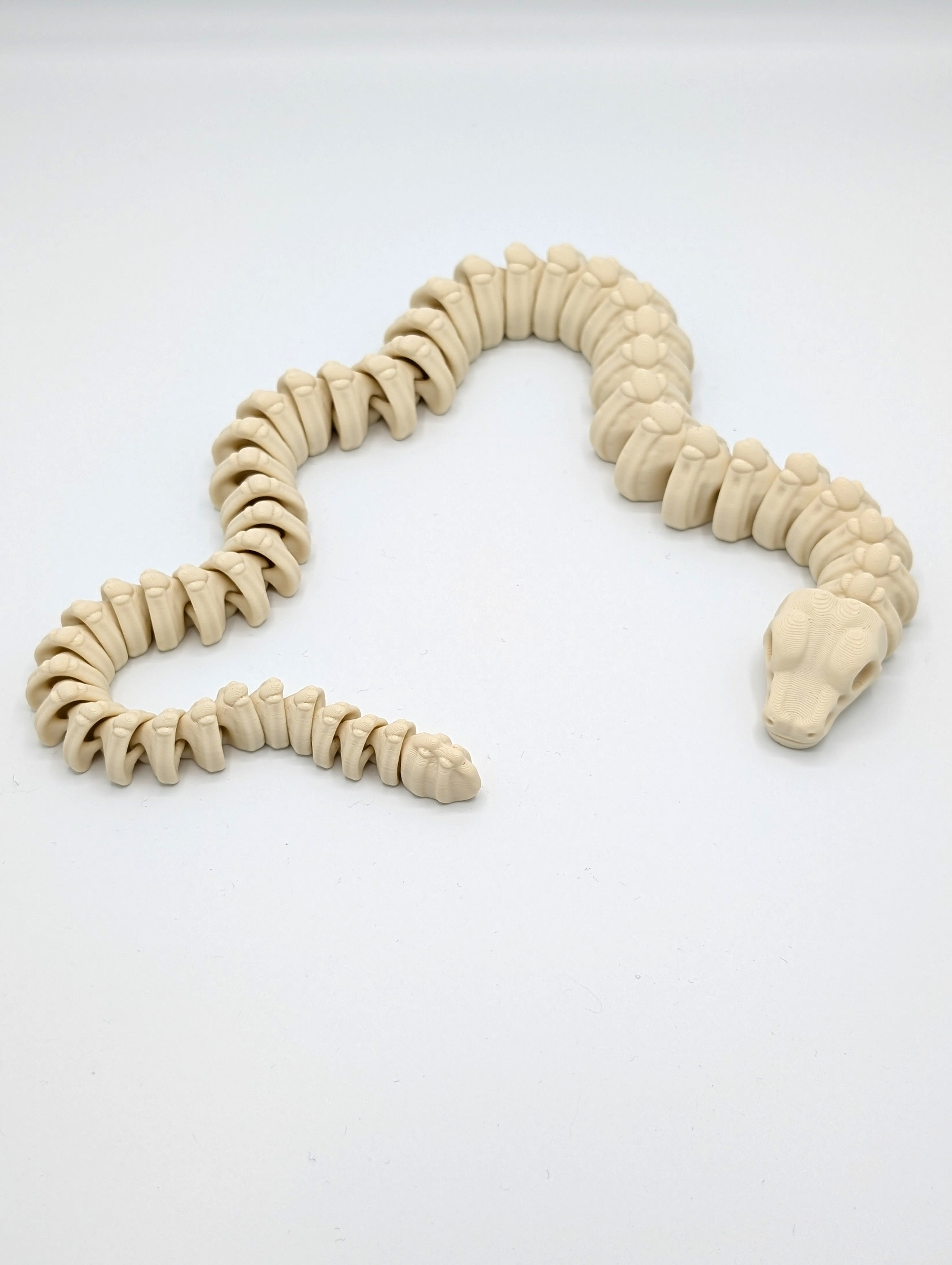 Serpente scheletro fossile fidget