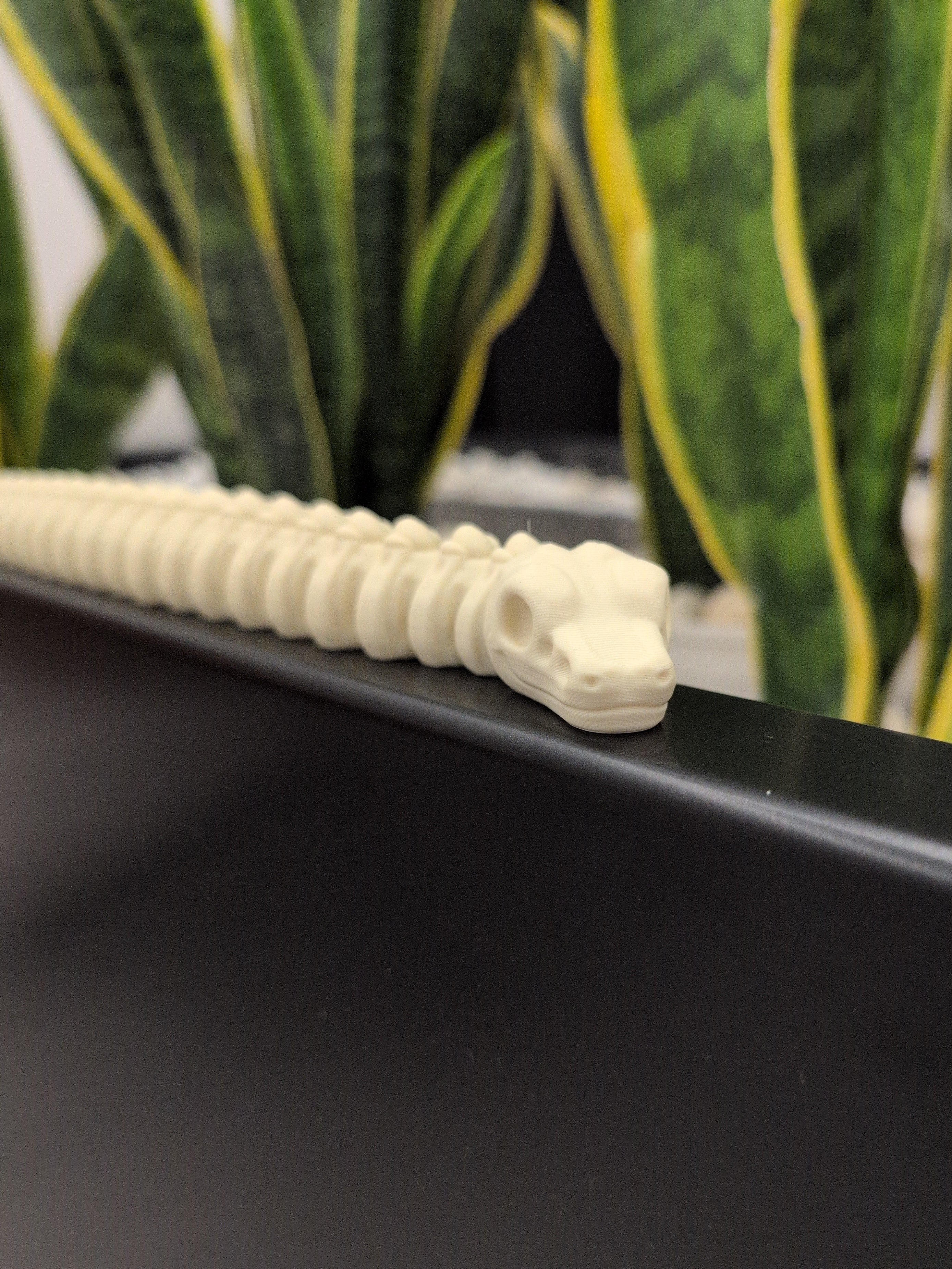 Serpente scheletro fossile fidget